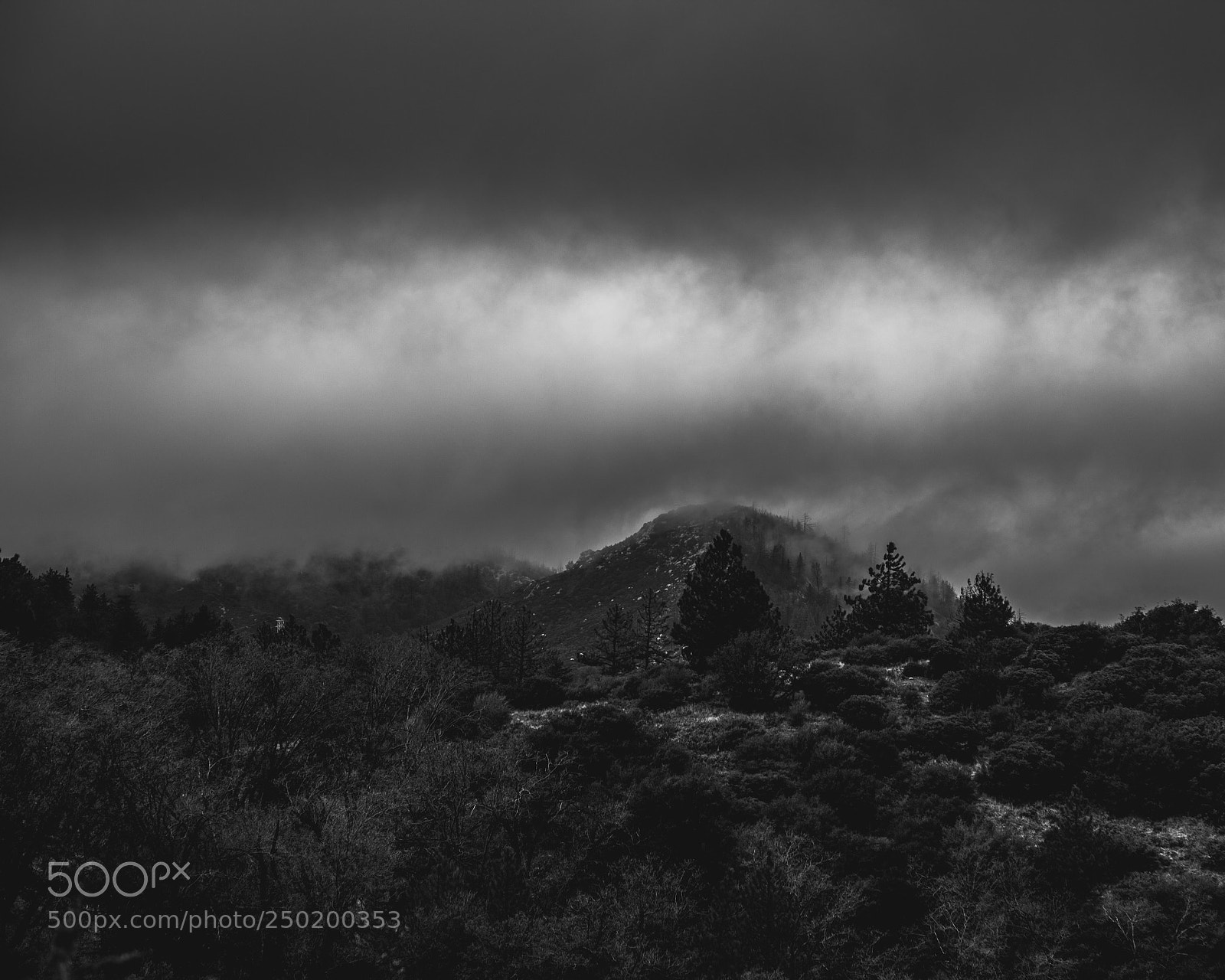 Canon EOS 5D Mark II sample photo. San bernardino national forest photography