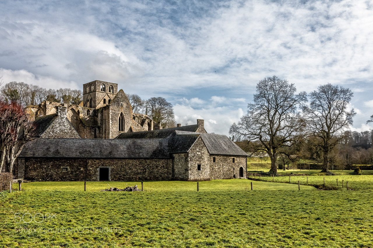 Canon EOS 760D (EOS Rebel T6s / EOS 8000D) sample photo. Abbaye de hambye photography
