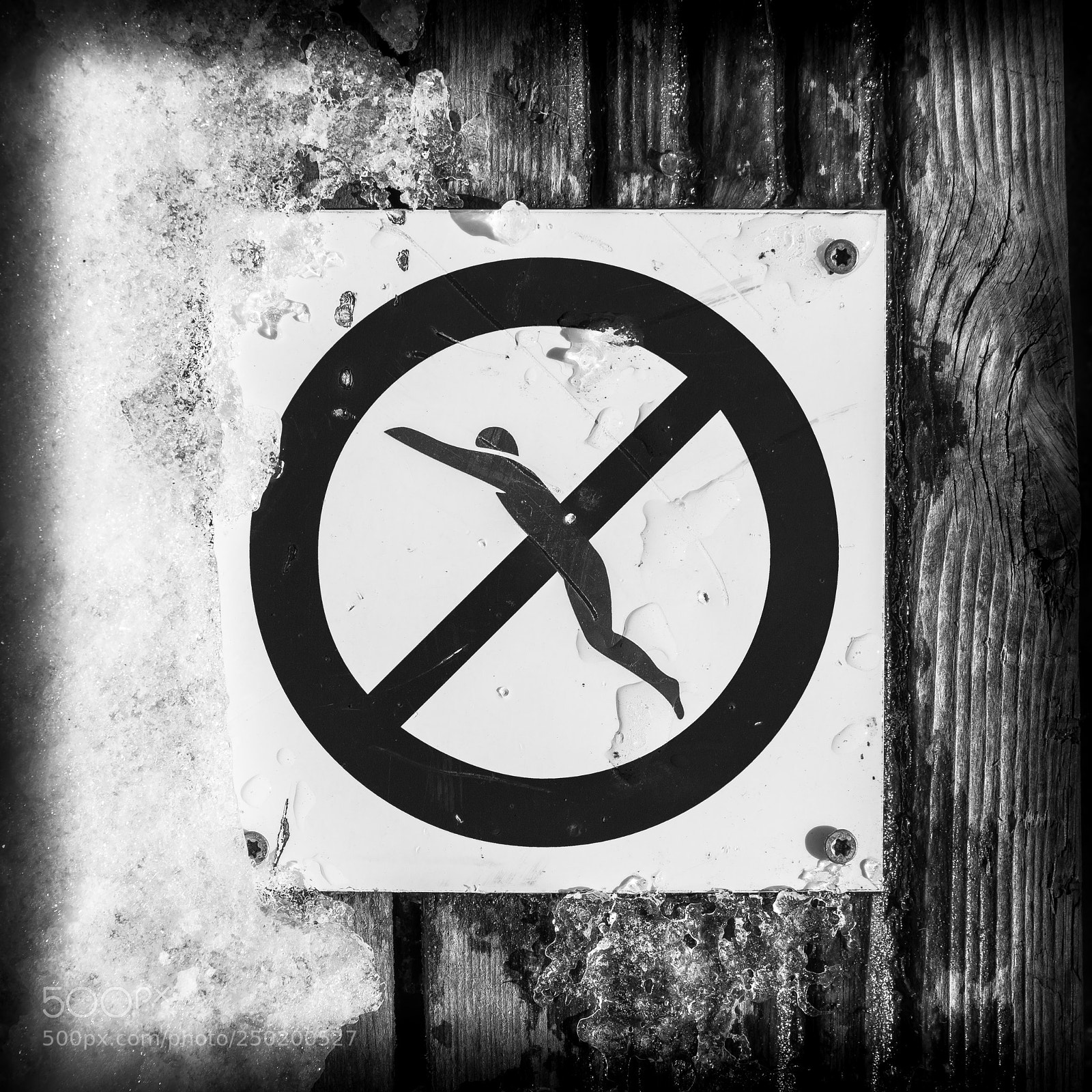 Canon EOS 5D Mark IV sample photo. No diving photography