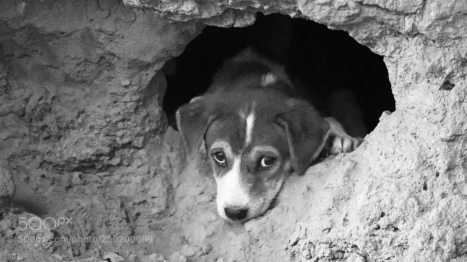 Nikon D3100 sample photo. Innocence eyes photography