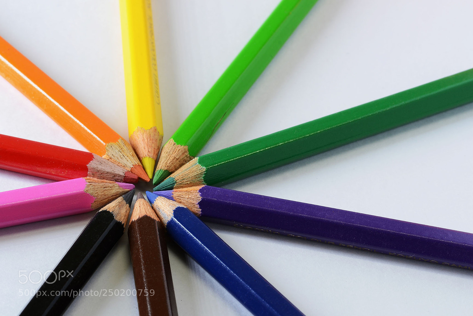 Nikon D3100 sample photo. Pointing center photography