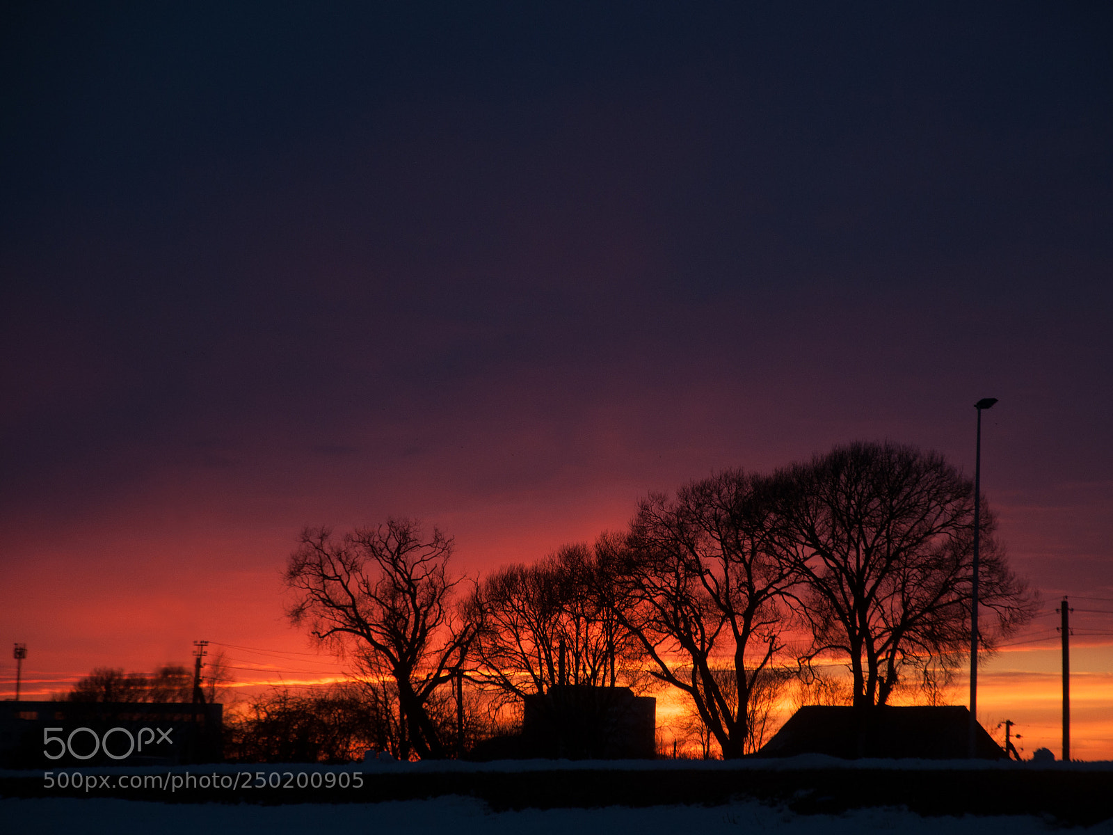 Nikon D90 sample photo. Vitebsk savannah photography