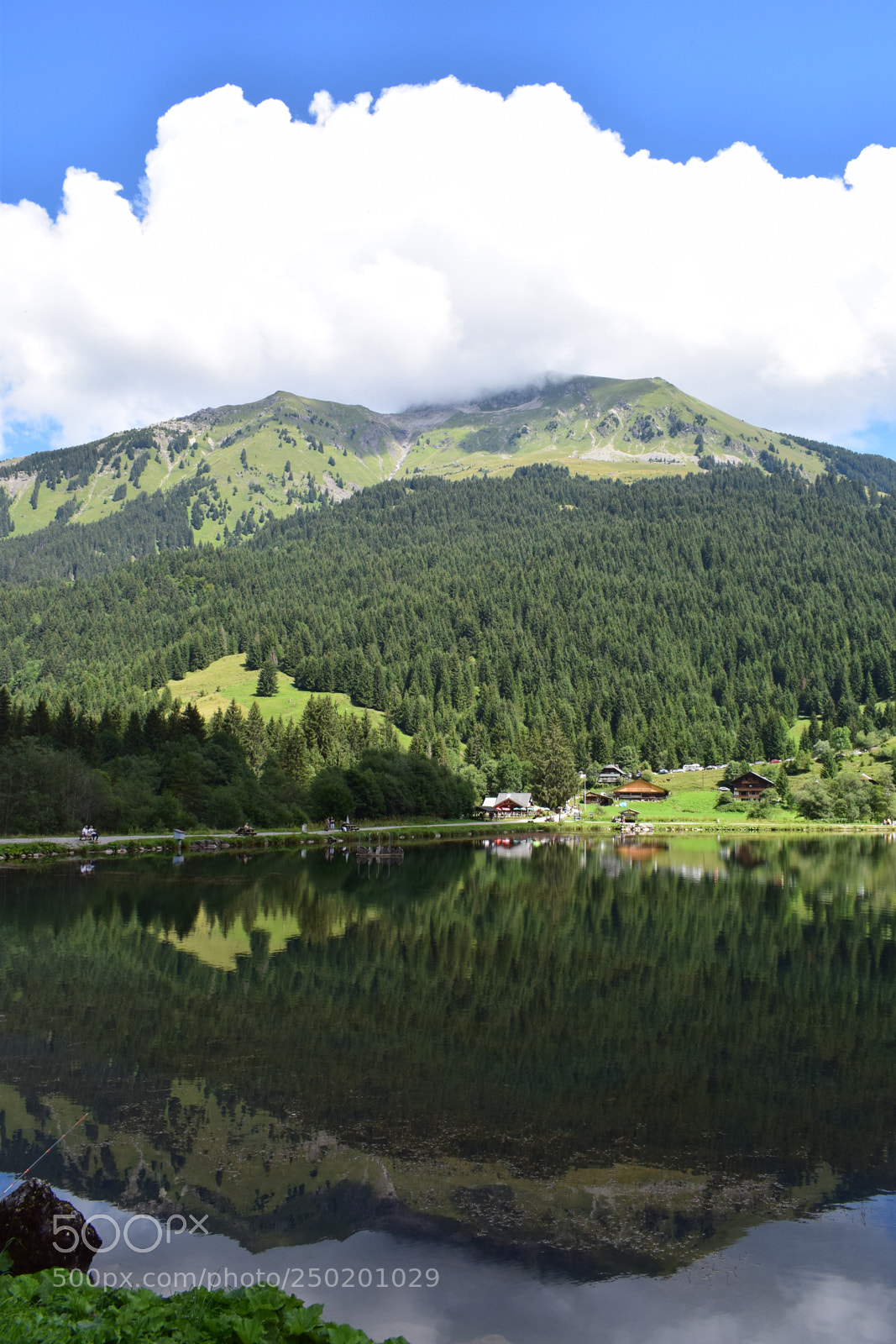 Nikon D3300 sample photo. Coin de nature photography