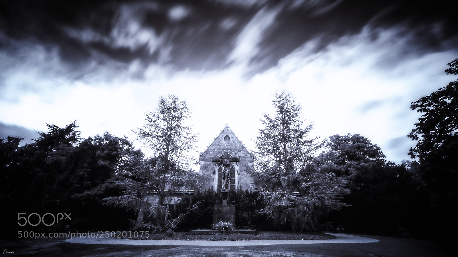 Nikon D5000 sample photo. Darkness photography