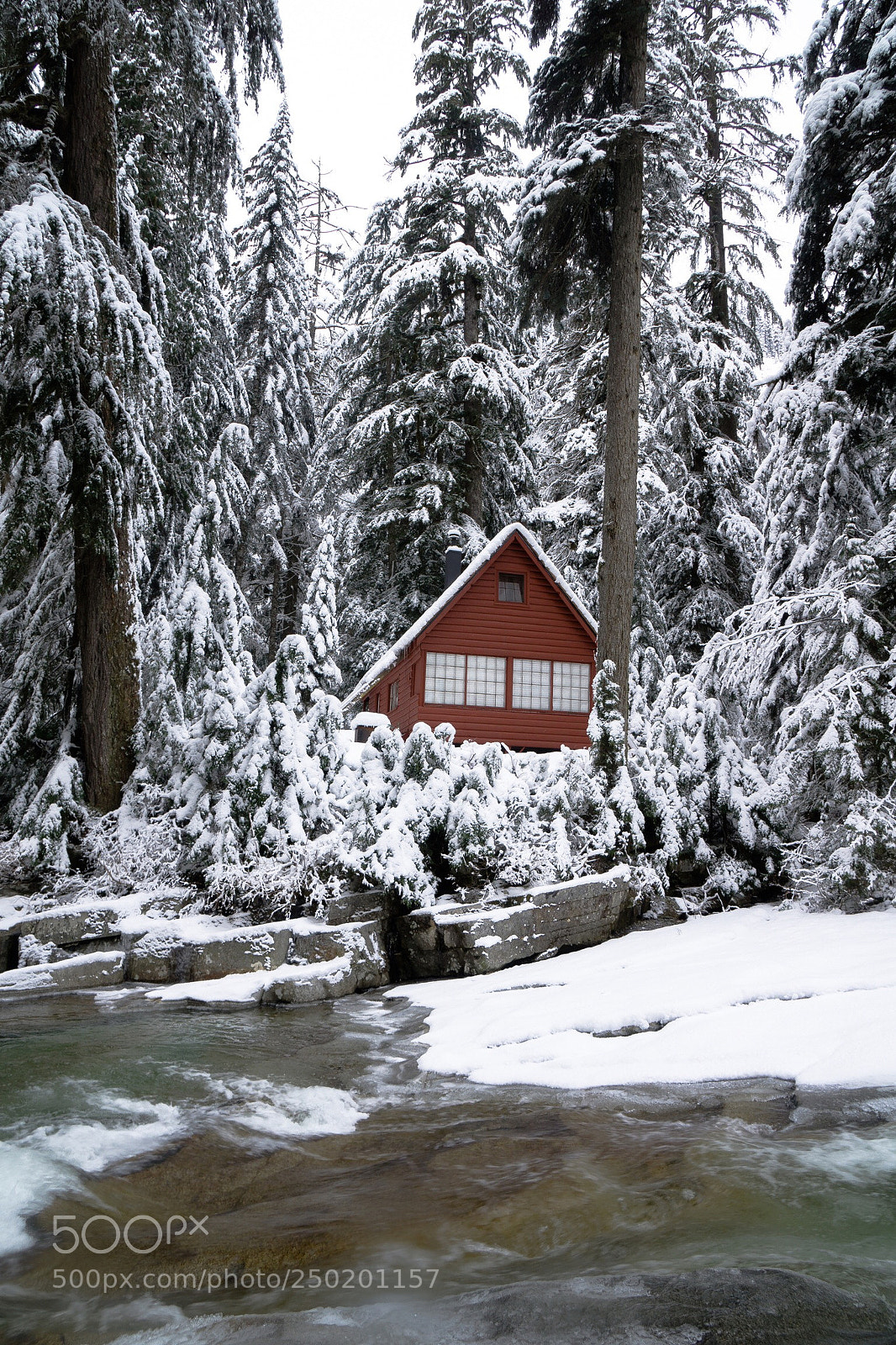 Sony a6000 sample photo. Cabin in the woods  photography