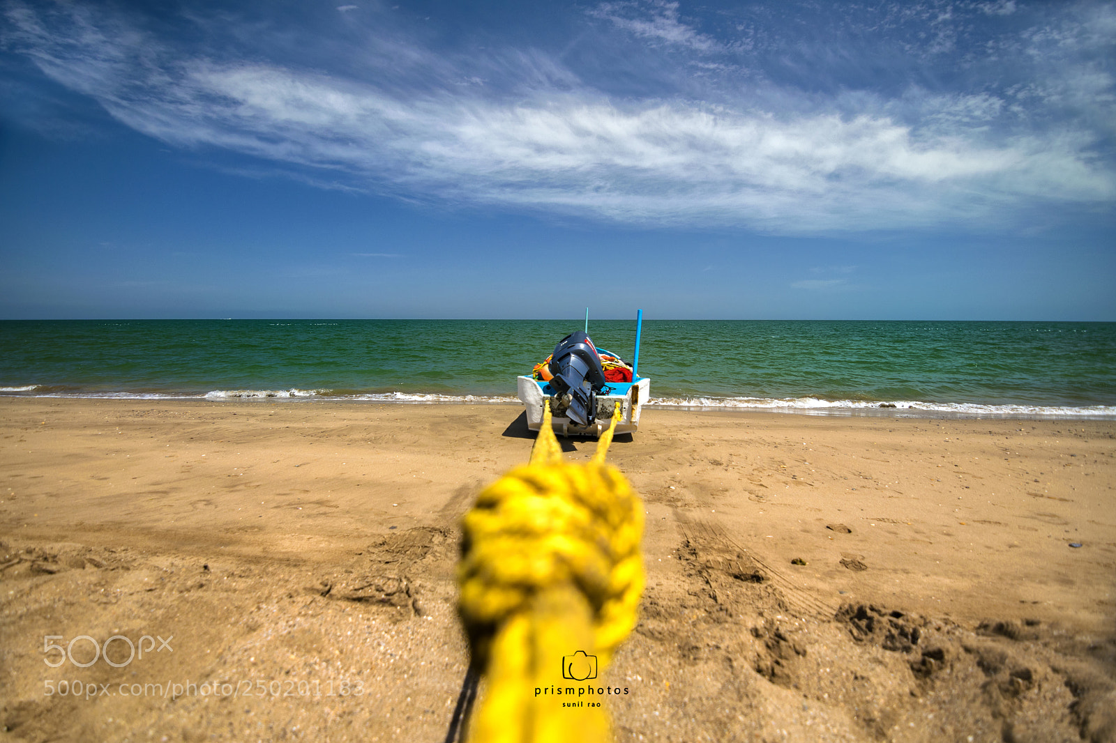 Nikon D5300 sample photo. Tied up photography