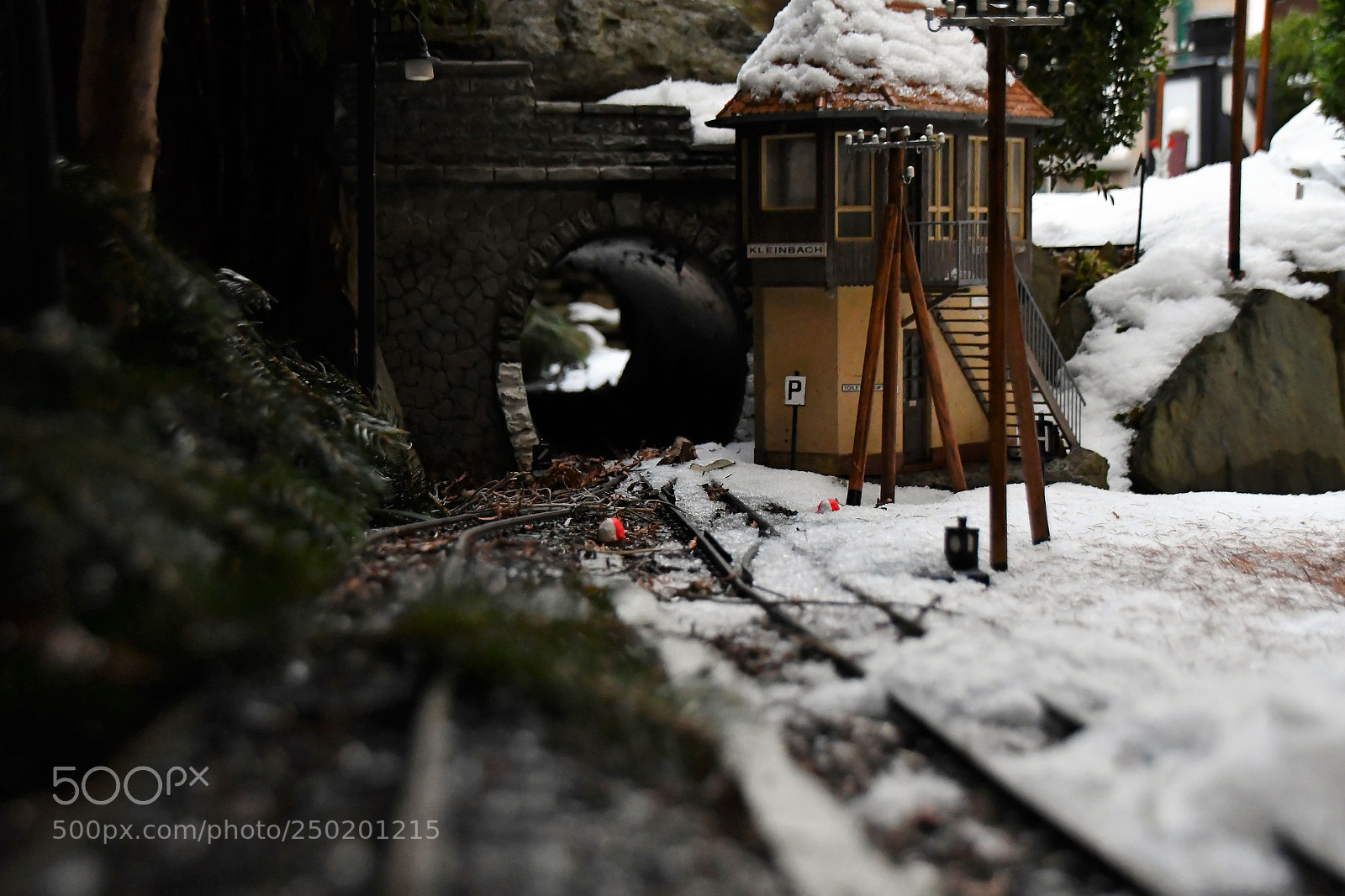Nikon D500 sample photo. Miniatur photography