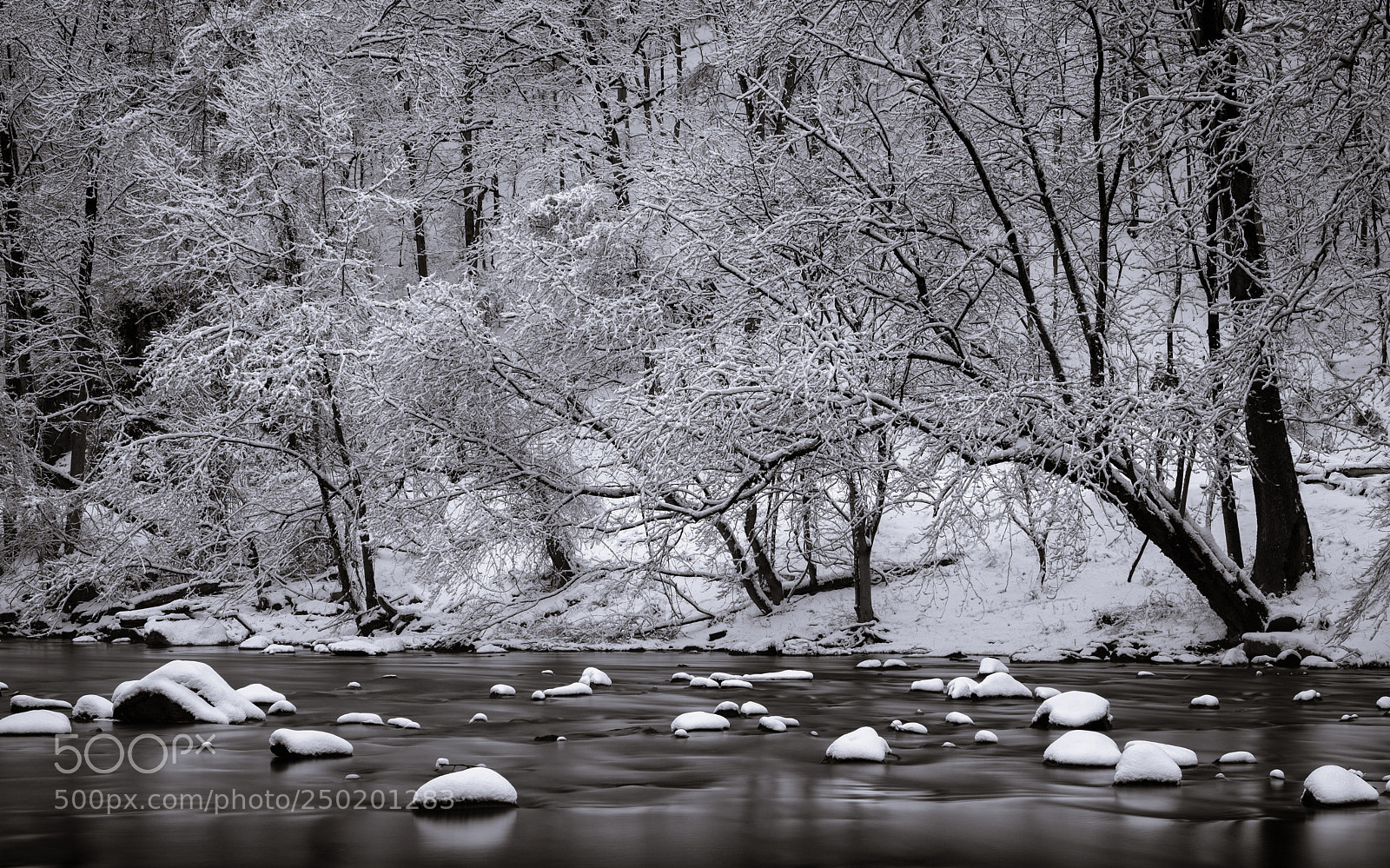 Fujifilm X-Pro2 sample photo. March snow #1 photography