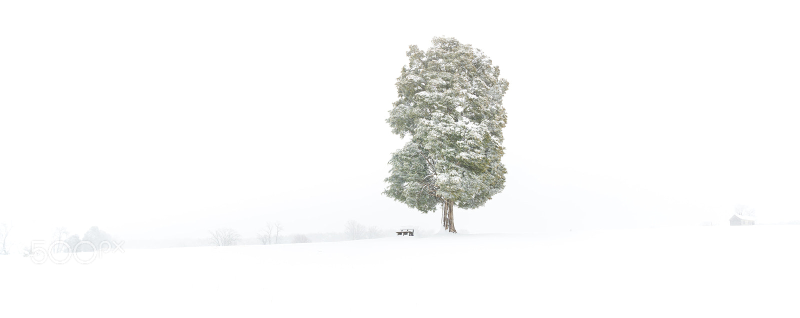 Sony a6000 sample photo. Lonely winter photography