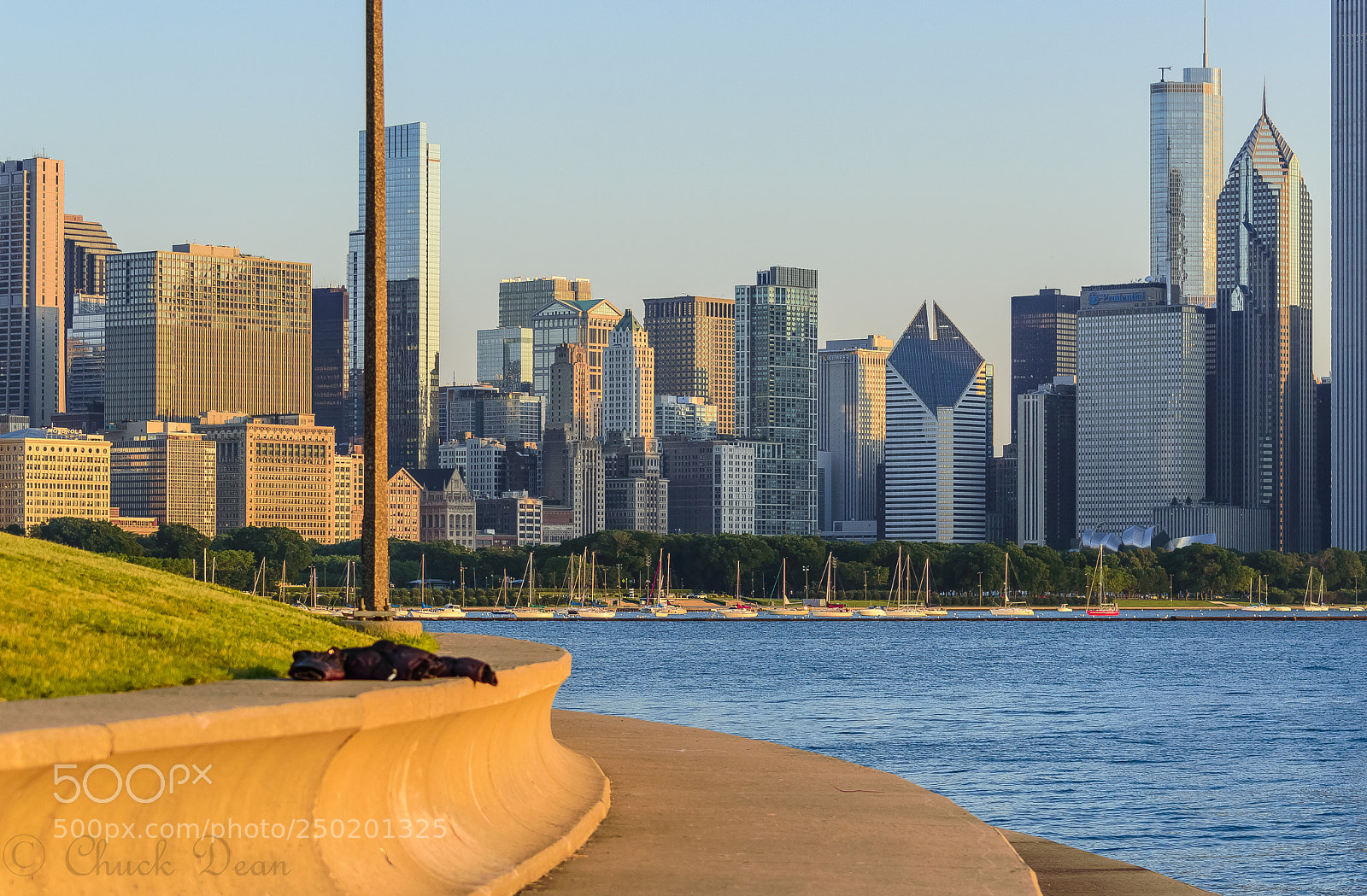 Nikon D3200 sample photo. Morning on the park photography