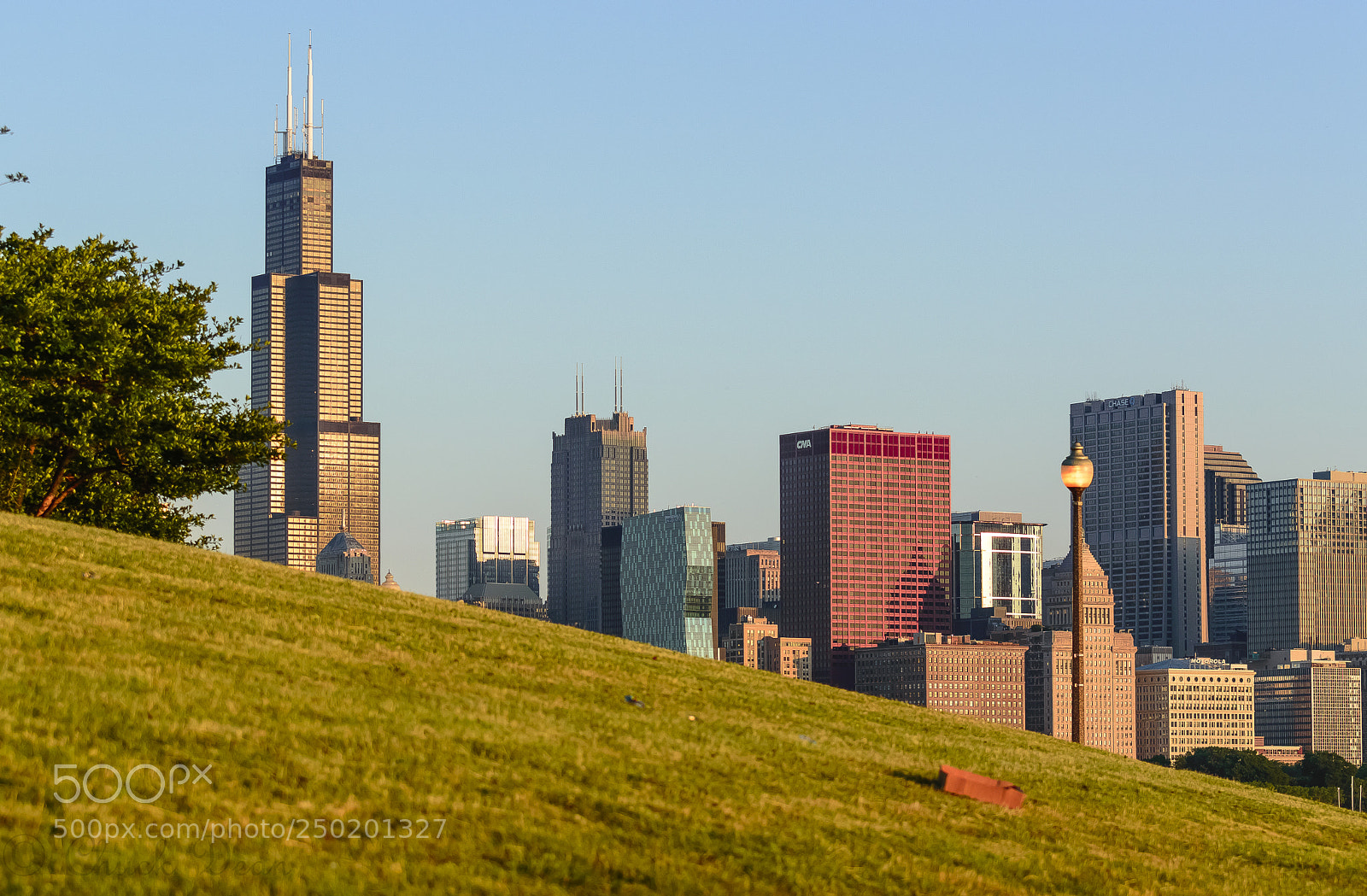 Nikon D3200 sample photo. Morning on the park photography