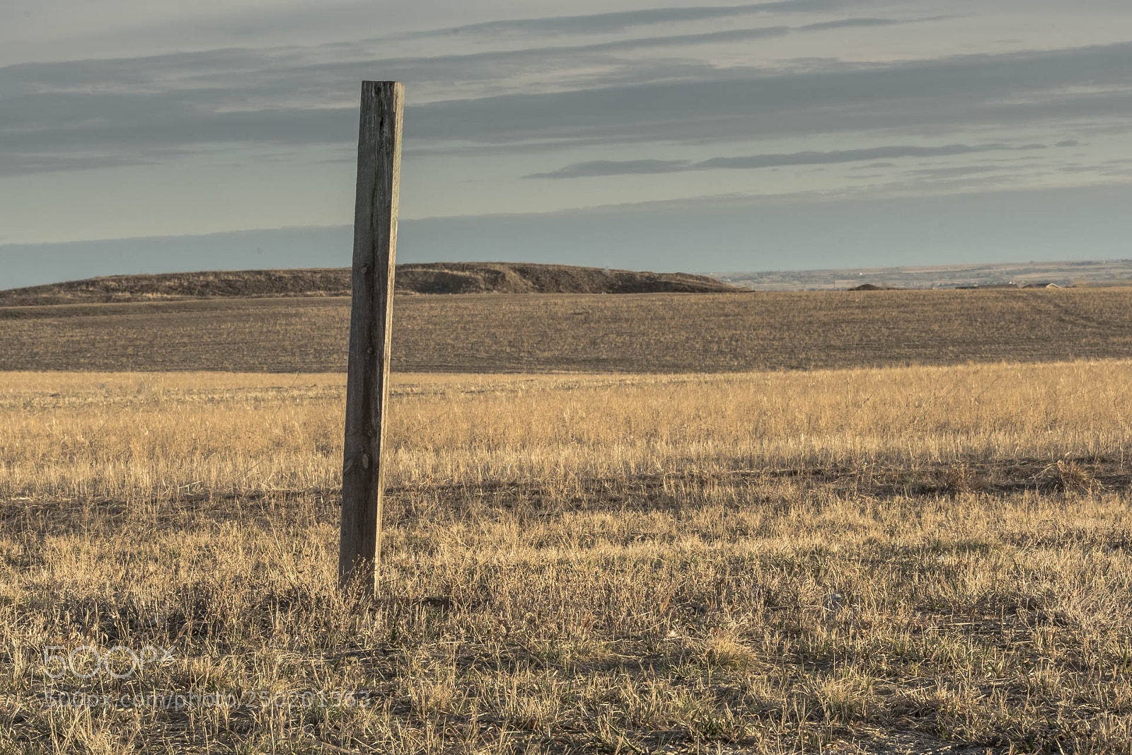 Nikon D810 sample photo. . photography