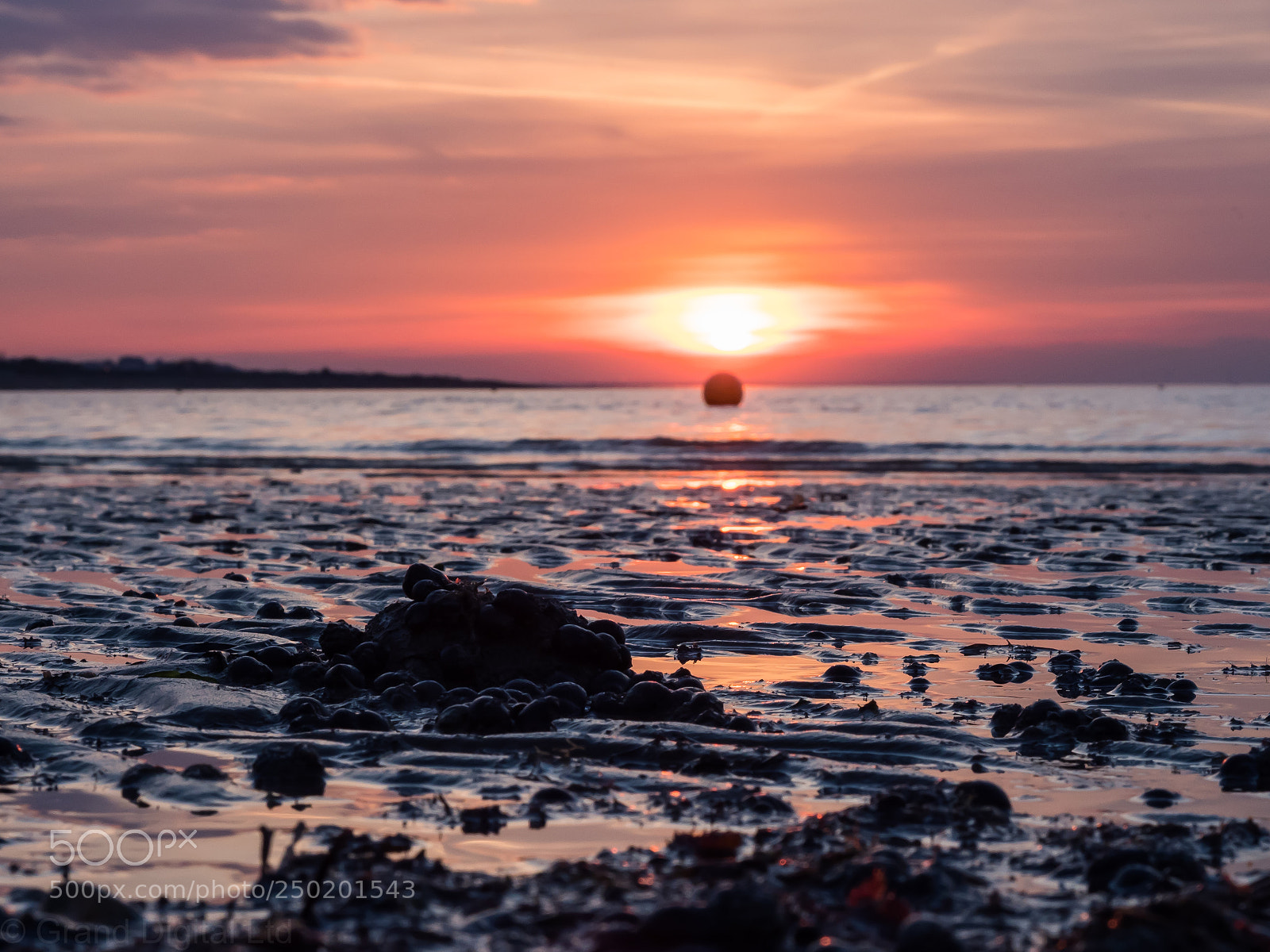 Olympus OM-D E-M1 Mark II sample photo. Hampton sunset st march photography