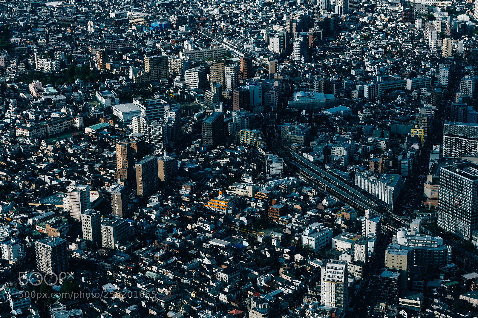 Canon EOS 550D (EOS Rebel T2i / EOS Kiss X4) sample photo. Tokyo #8 photography