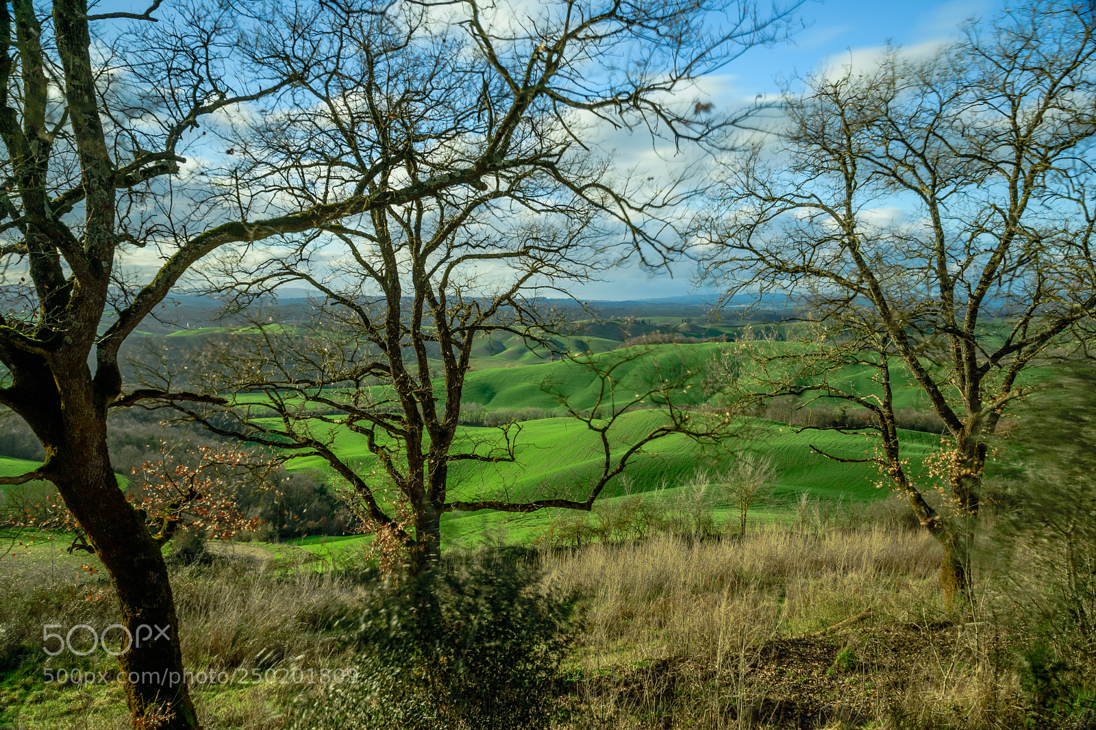 Nikon D3400 sample photo. Spring is coming, view photography