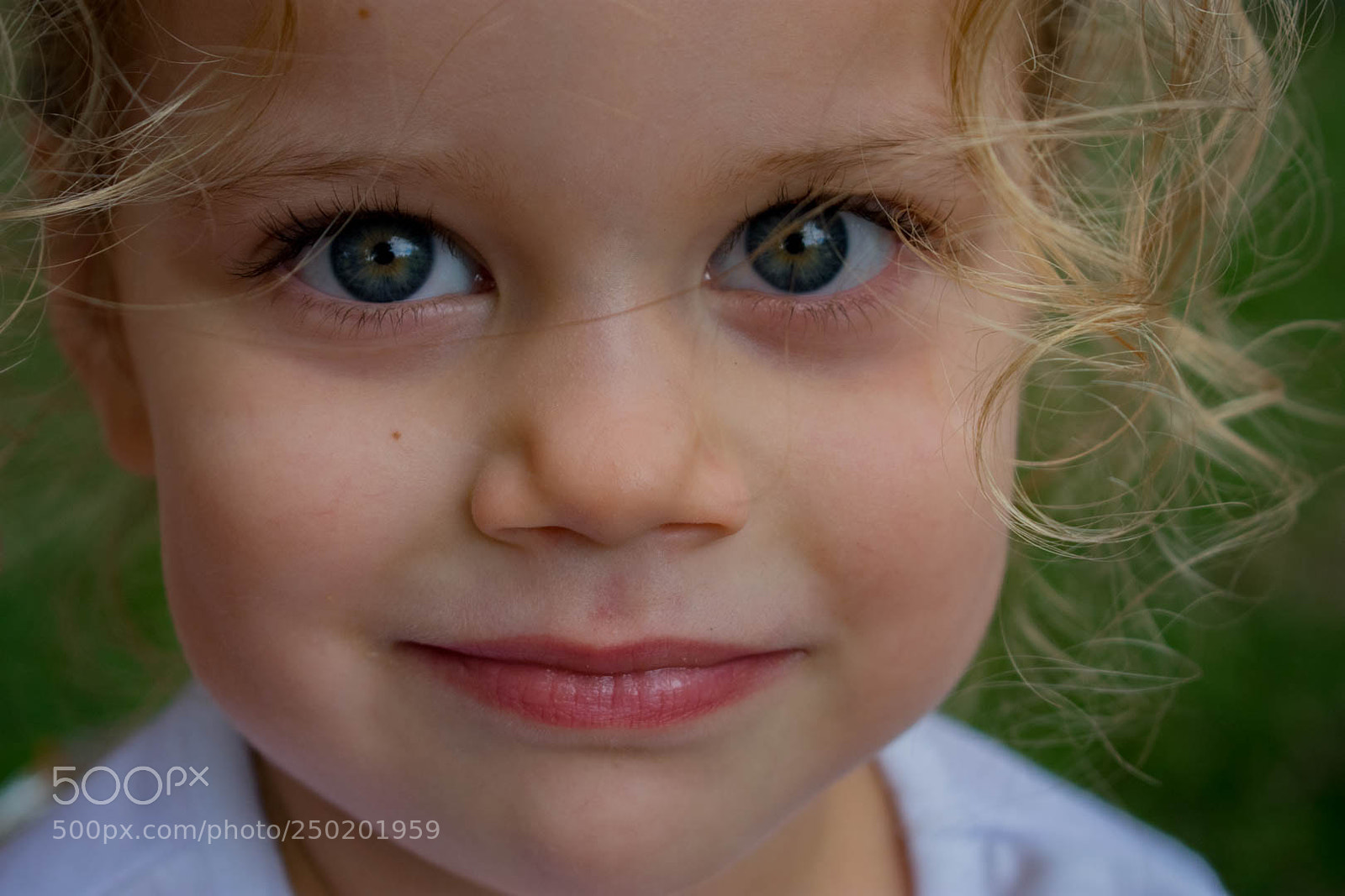 Nikon D3400 sample photo. Those eyes photography