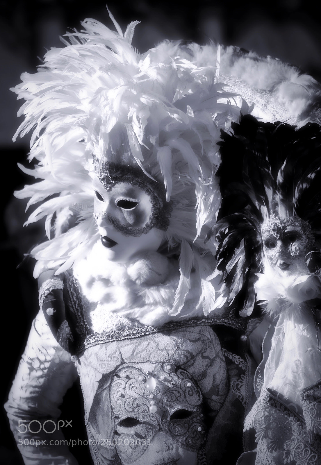 Canon EOS 7D sample photo. Carnevale di venezia photography