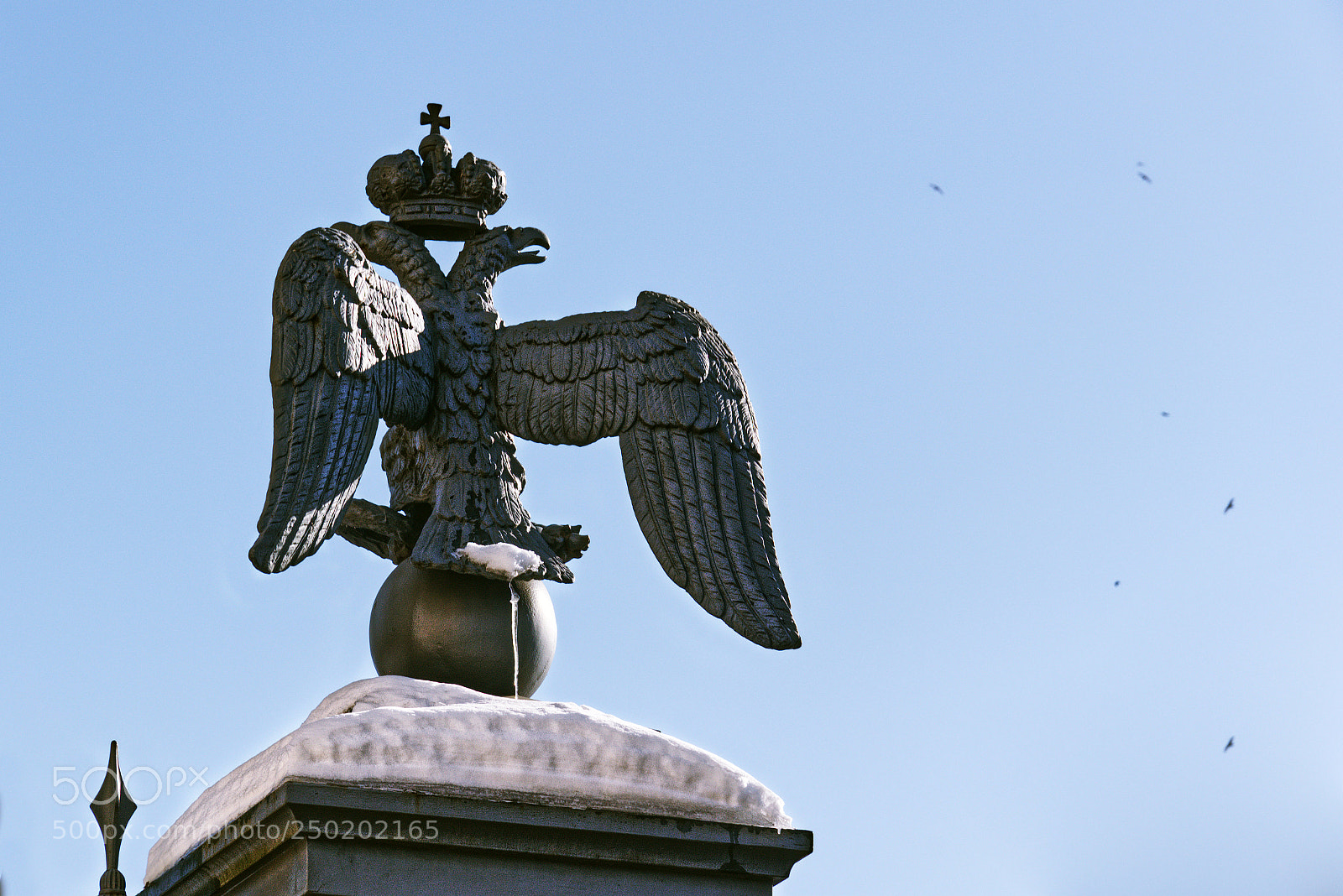 Nikon D5300 sample photo. Two-headed eagle photography