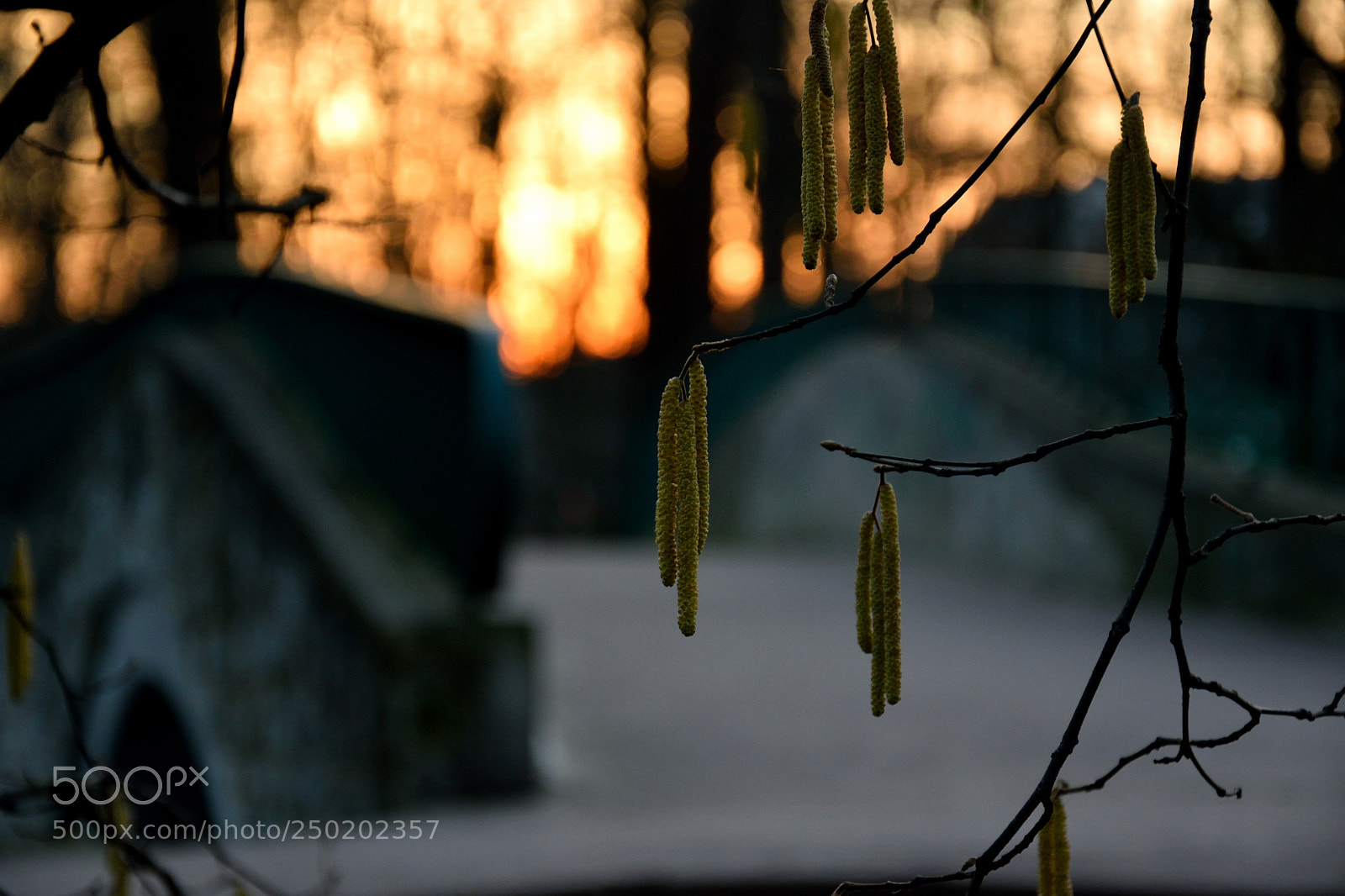 Nikon D3300 sample photo. Winter evening photography