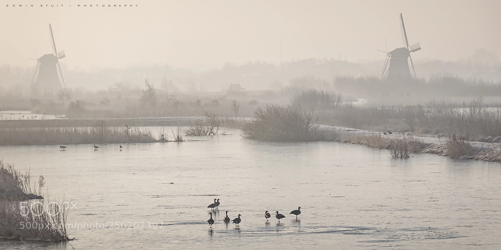 Pentax K-5 IIs sample photo. Cold dutch morning photography
