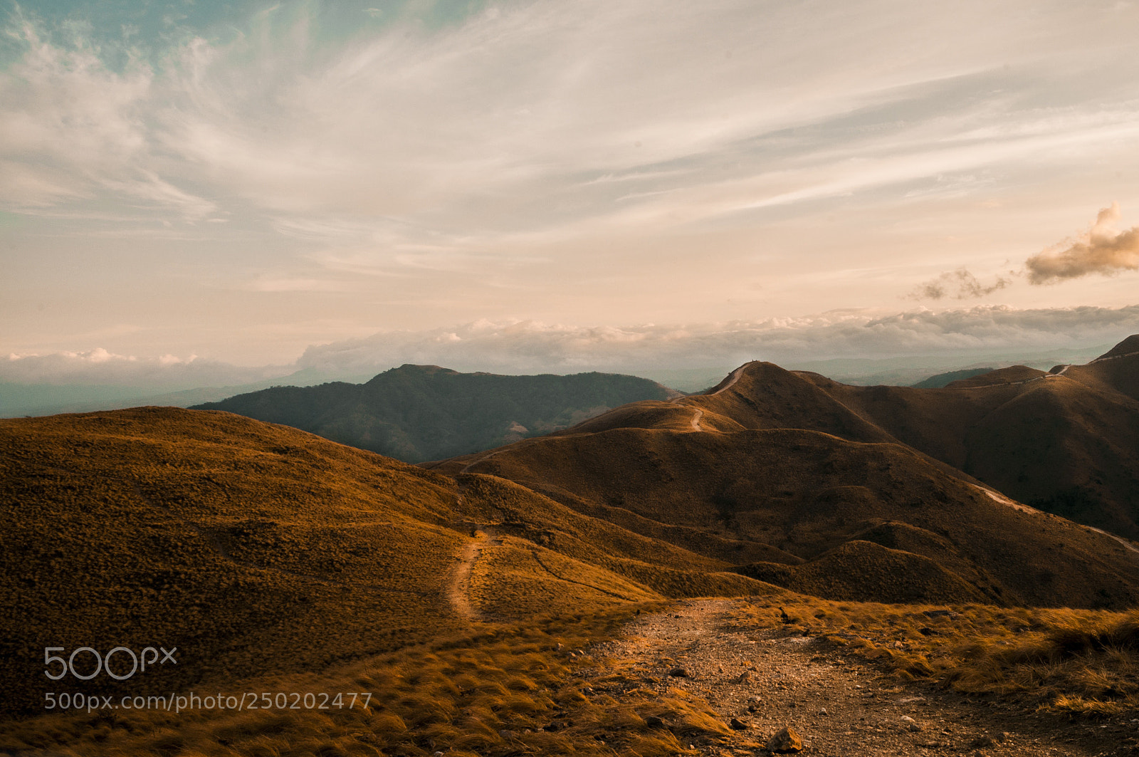 Nikon D5000 sample photo. Cerro pelado. photography