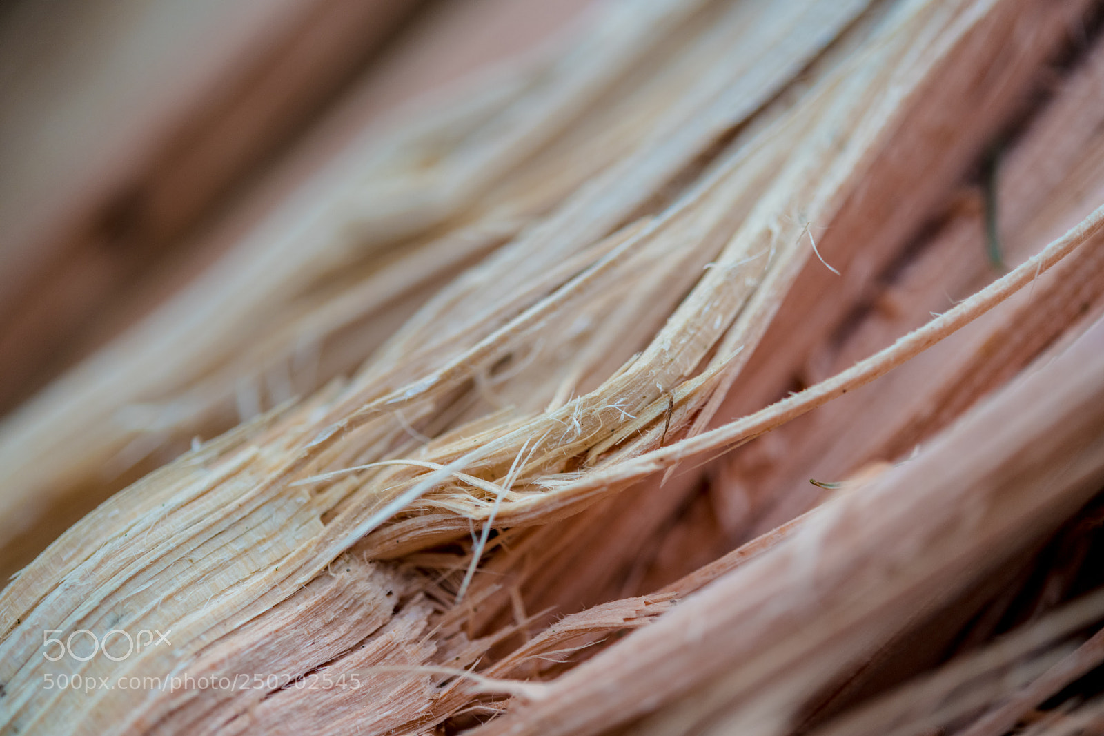 Nikon D850 sample photo. Gelderland road trip adventure photography