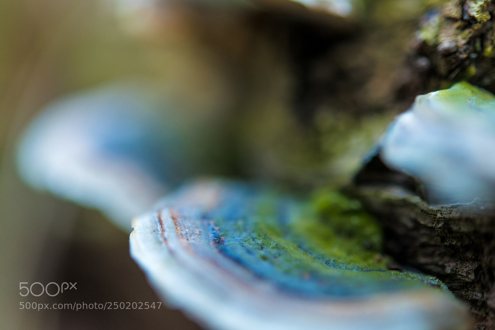 Nikon D850 sample photo. Gelderland road trip adventure photography