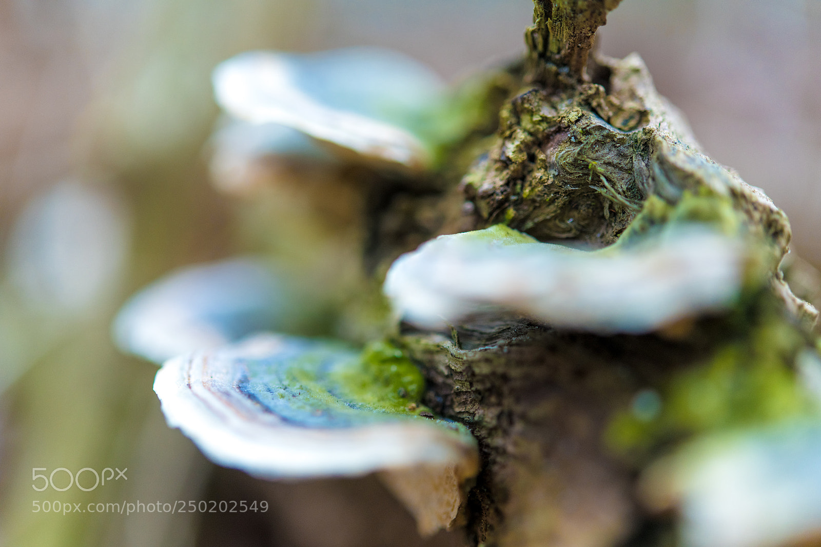 Nikon D850 sample photo. Gelderland road trip adventure photography