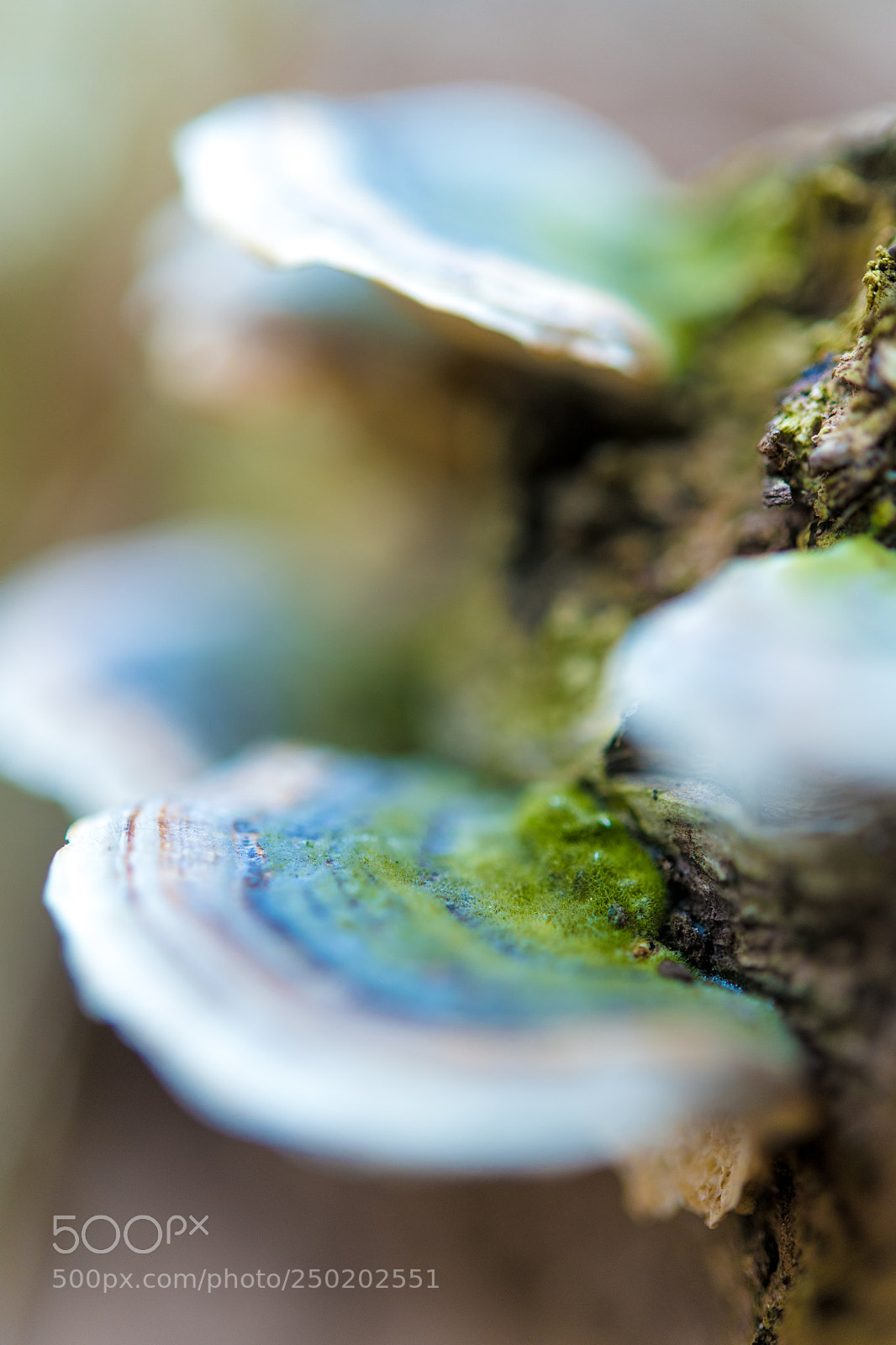 Nikon D850 sample photo. Gelderland road trip adventure photography