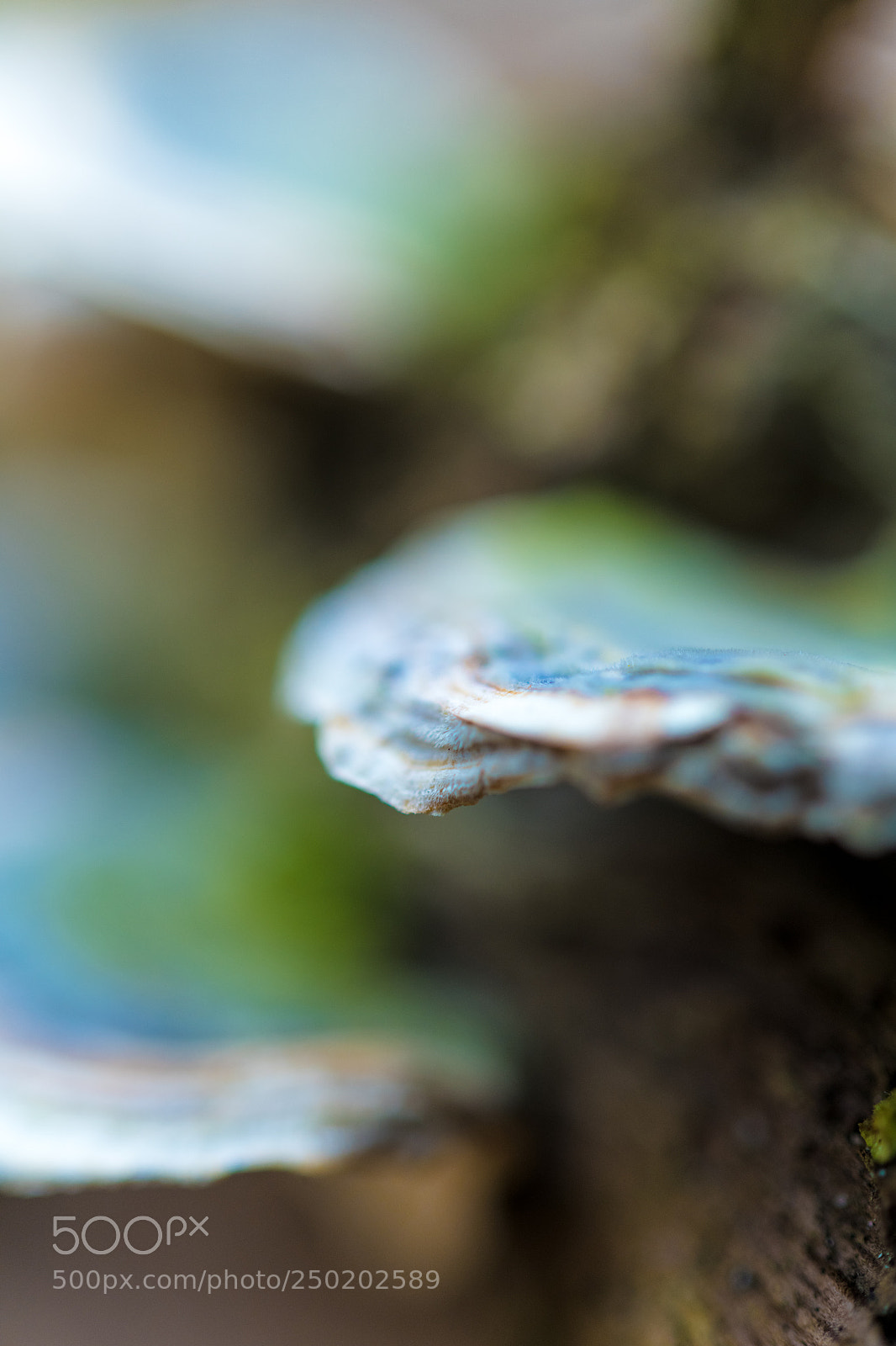 Nikon D850 sample photo. Gelderland road trip adventure photography
