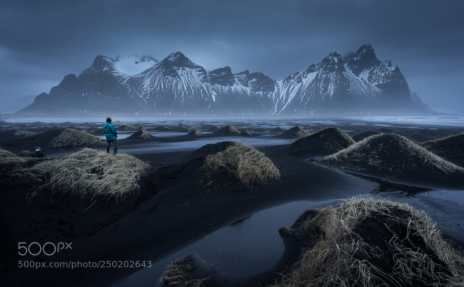 Sony a7R sample photo. A man and a photography