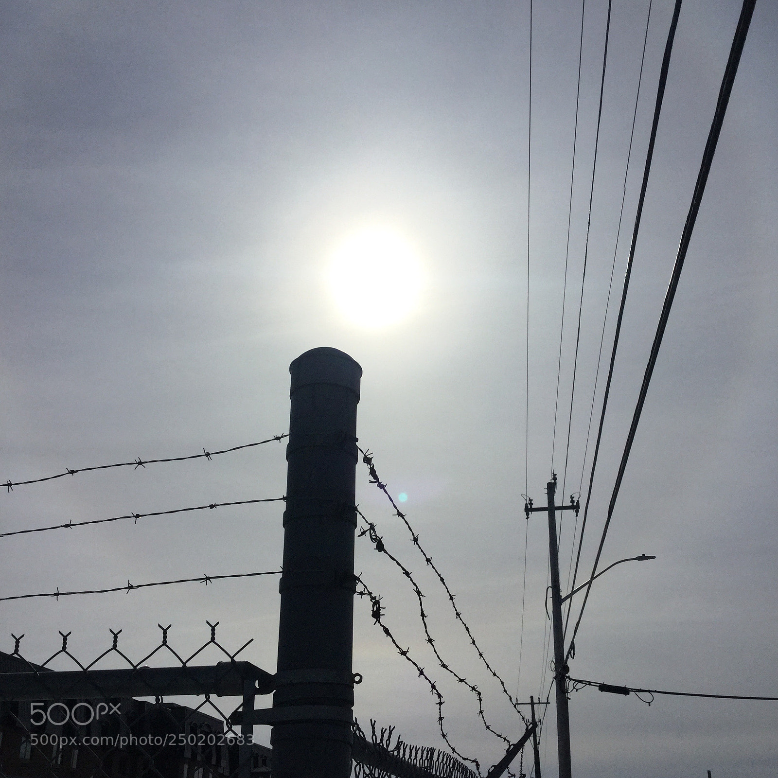 Apple iPod touch sample photo. Sun ring  photography