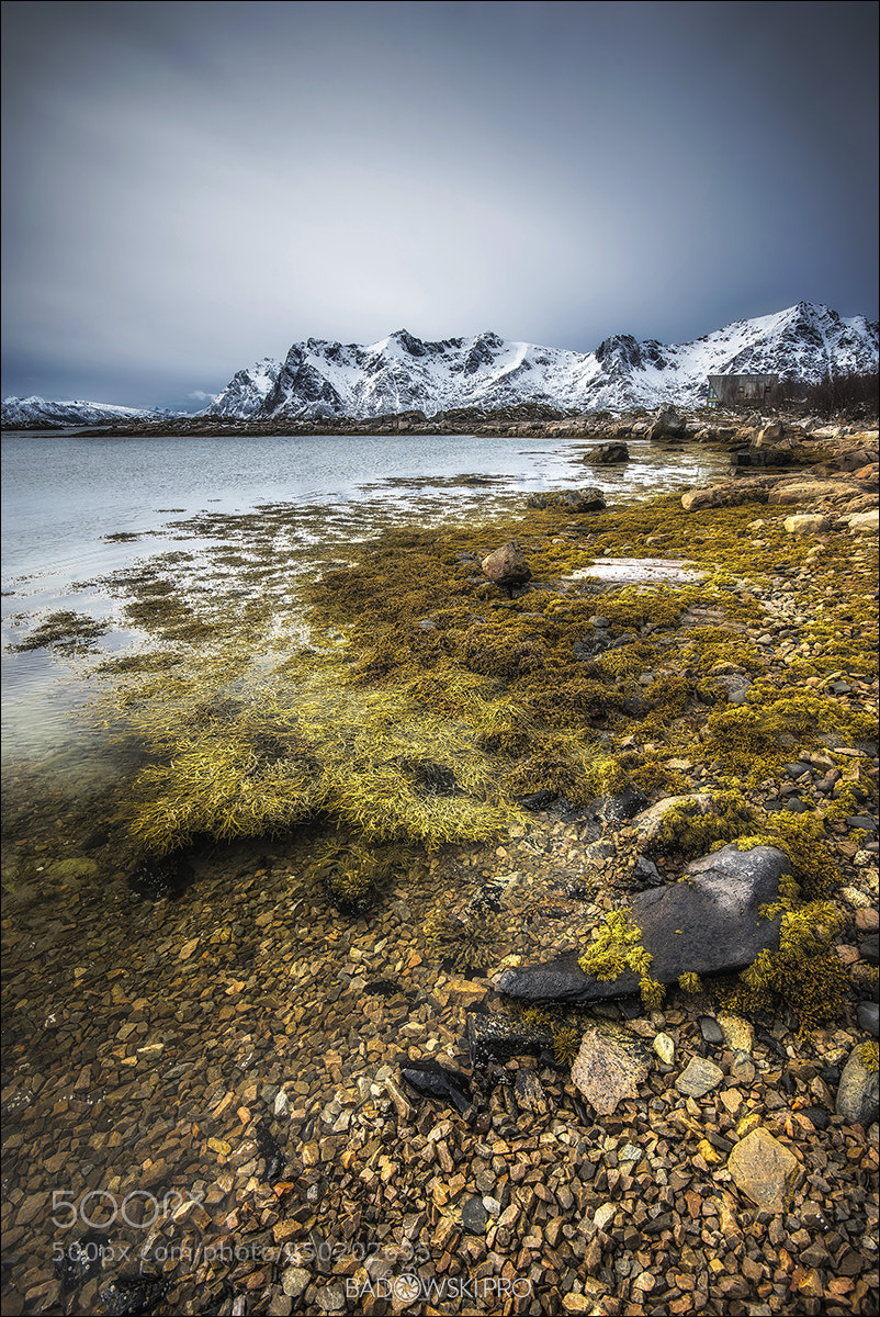 Nikon D810 sample photo. Lofoten photography
