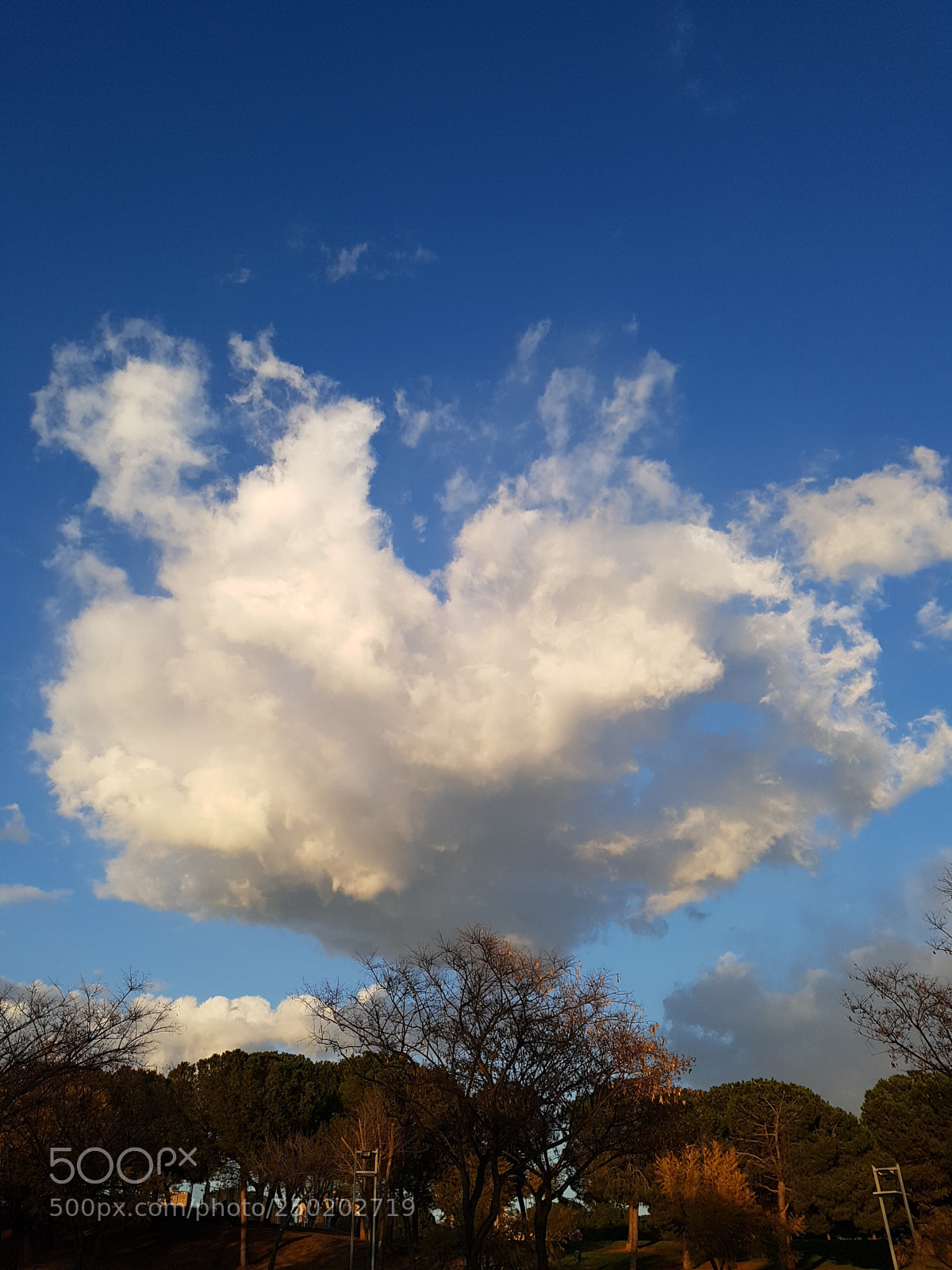 Samsung Galaxy S7 Edge sample photo. Untitled photography