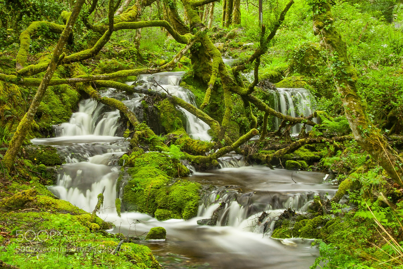 Canon EOS 5D Mark II sample photo. Mystic falls photography