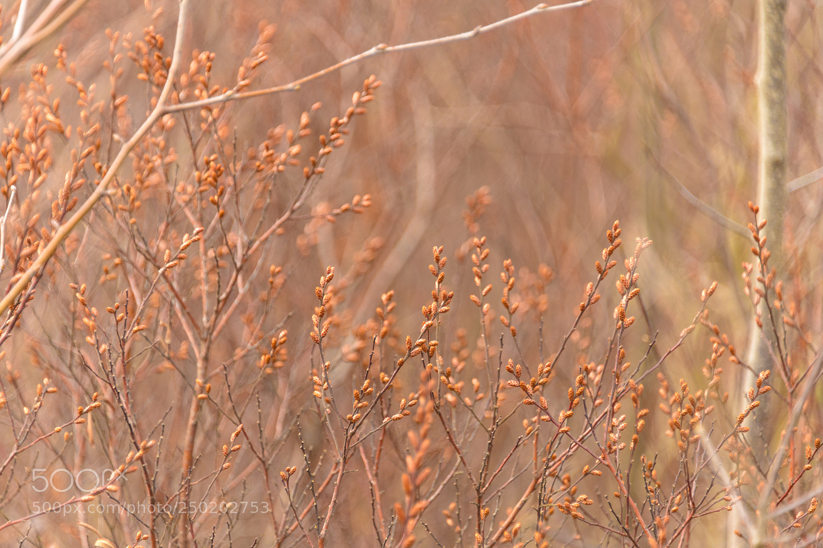Nikon D850 sample photo. Gelderland road trip adventure photography