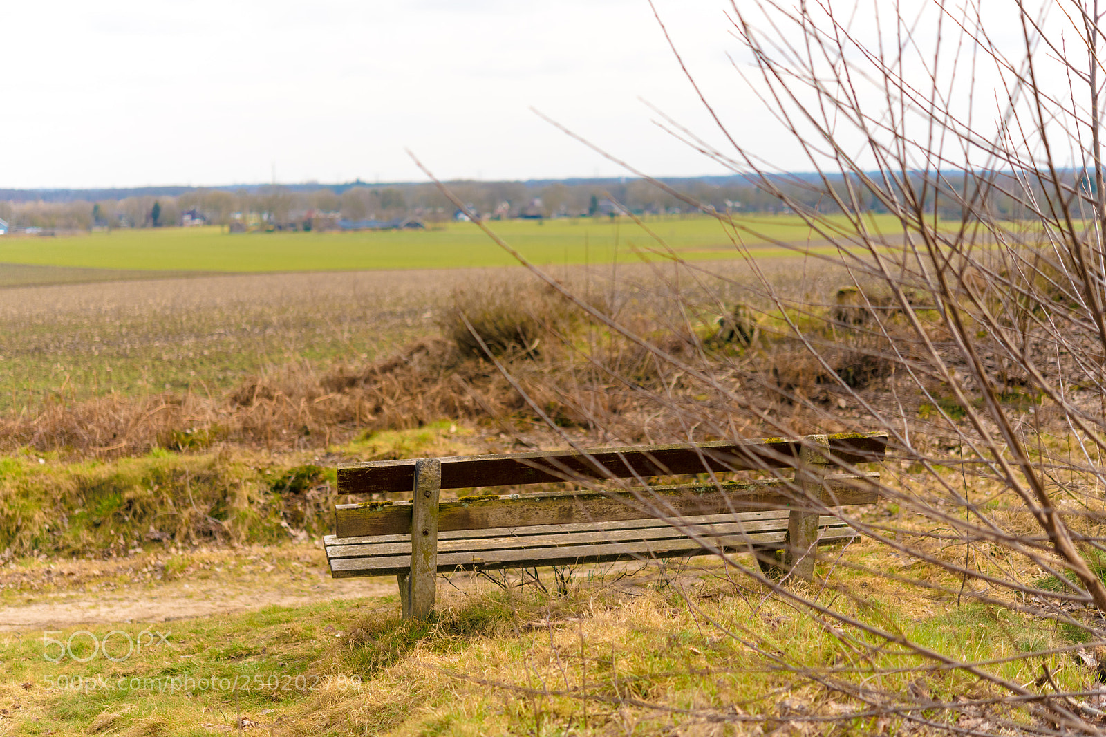 Nikon D850 sample photo. Gelderland road trip adventure photography