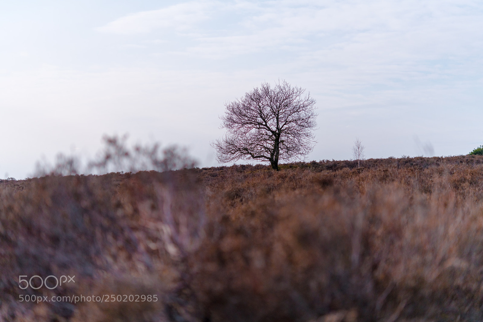 Nikon D850 sample photo. Gelderland road trip adventure photography