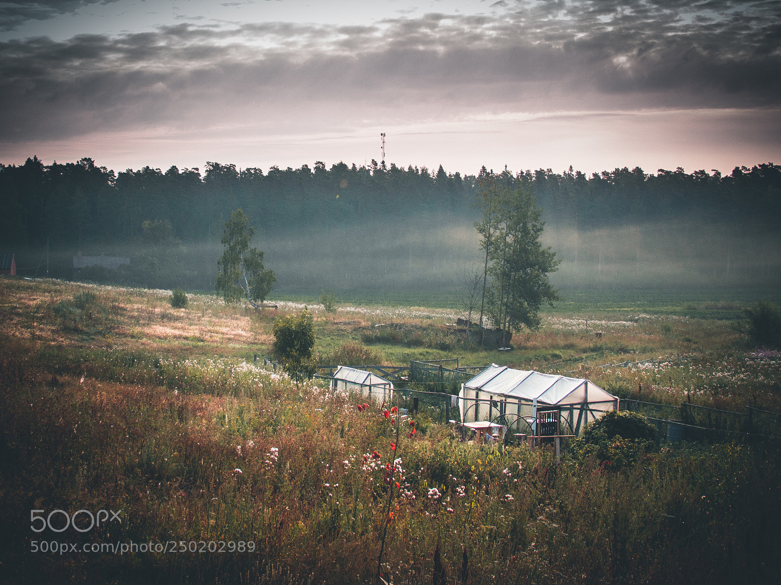 Canon EOS 60D sample photo. Russian countryside photography