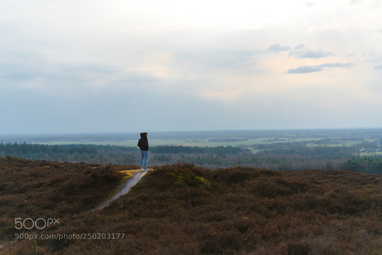 Nikon D850 sample photo. Gelderland road trip adventure photography