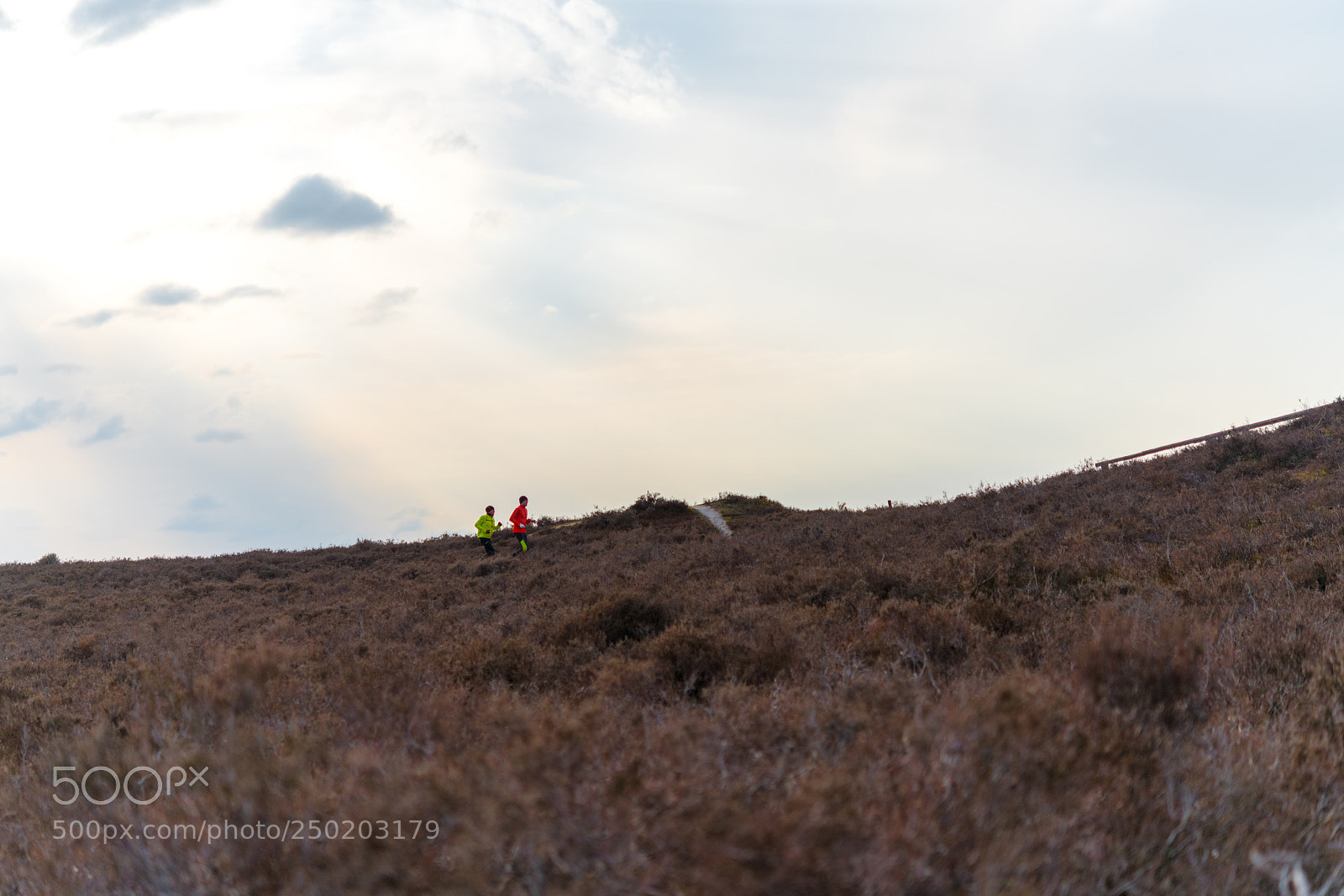 Nikon D850 sample photo. Gelderland road trip adventure photography