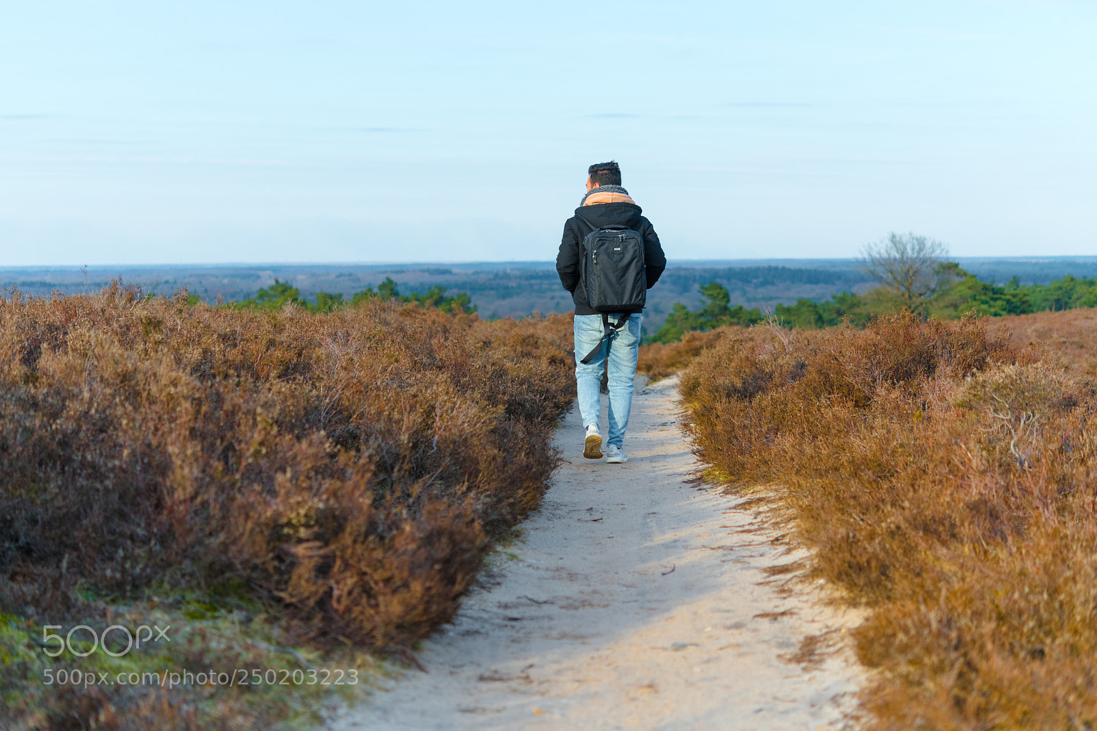 Nikon D850 sample photo. Gelderland road trip adventure photography