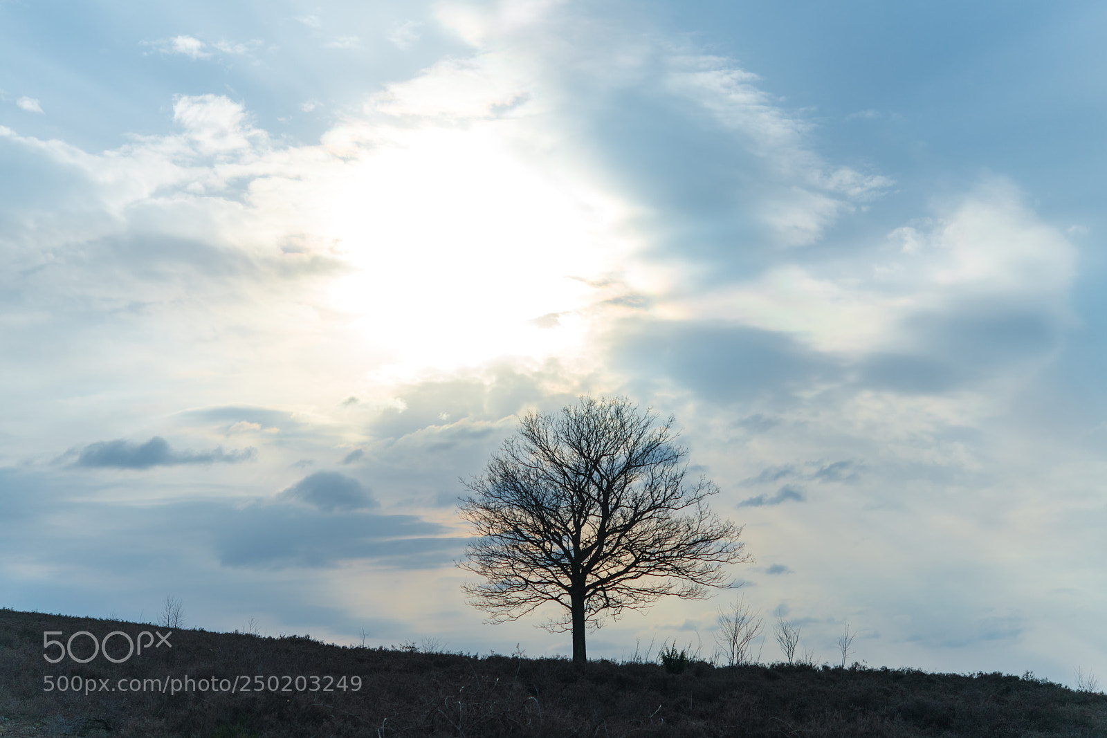 Nikon D850 sample photo. Gelderland road trip adventure photography