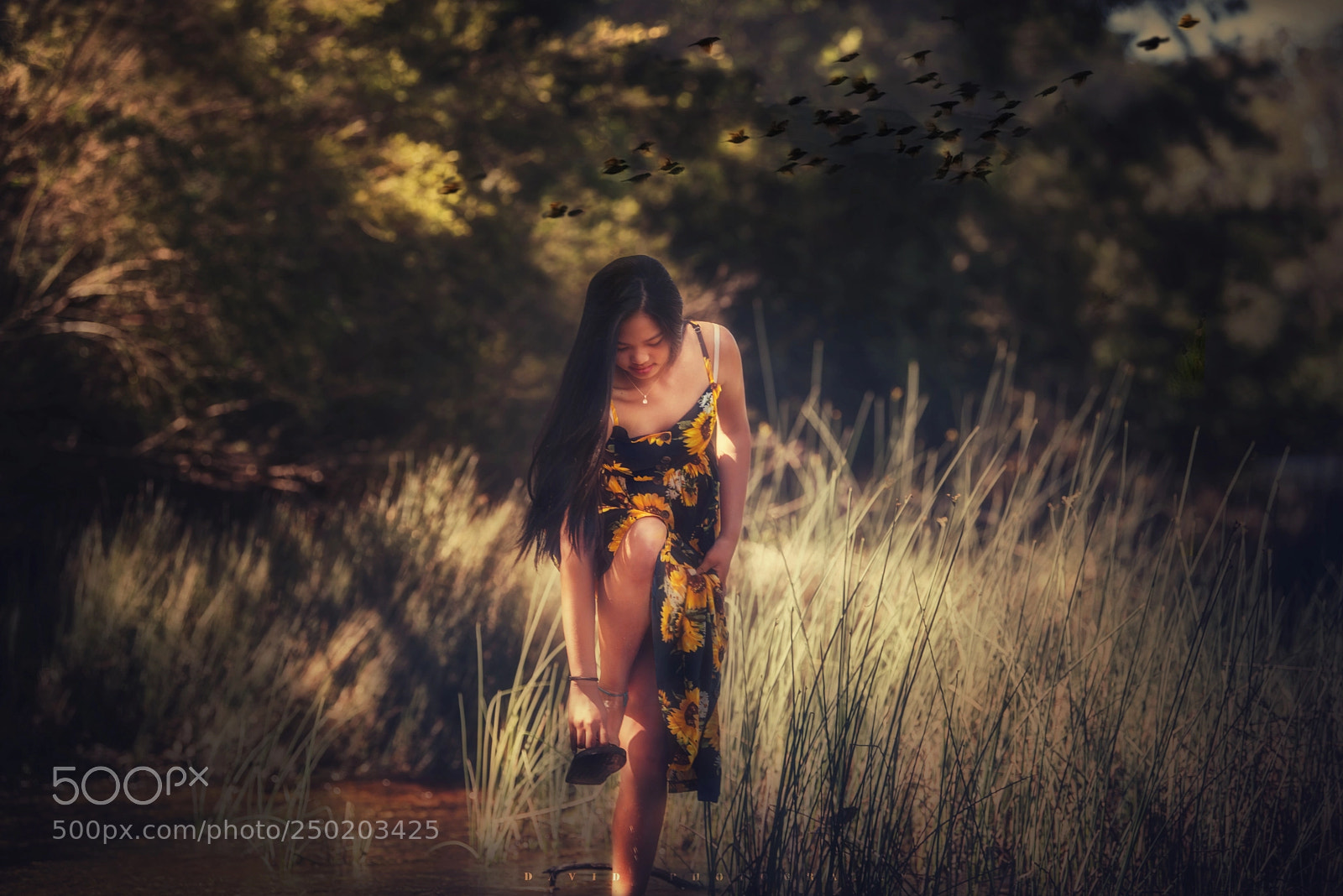 Nikon D810 sample photo. Untitled photography