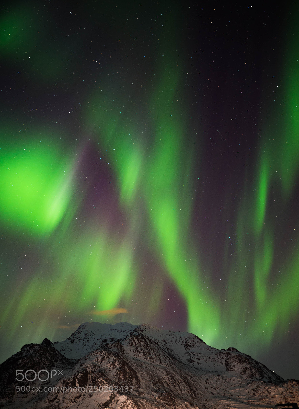Sony a7S II sample photo. Northern lights photography