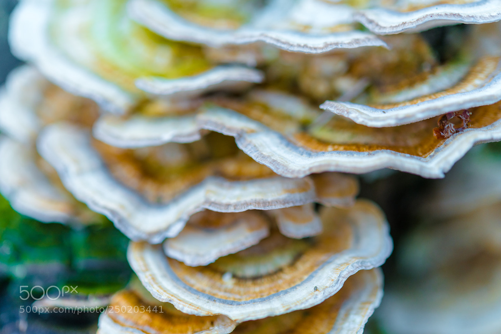 Nikon D850 sample photo. Gelderland road trip adventure photography