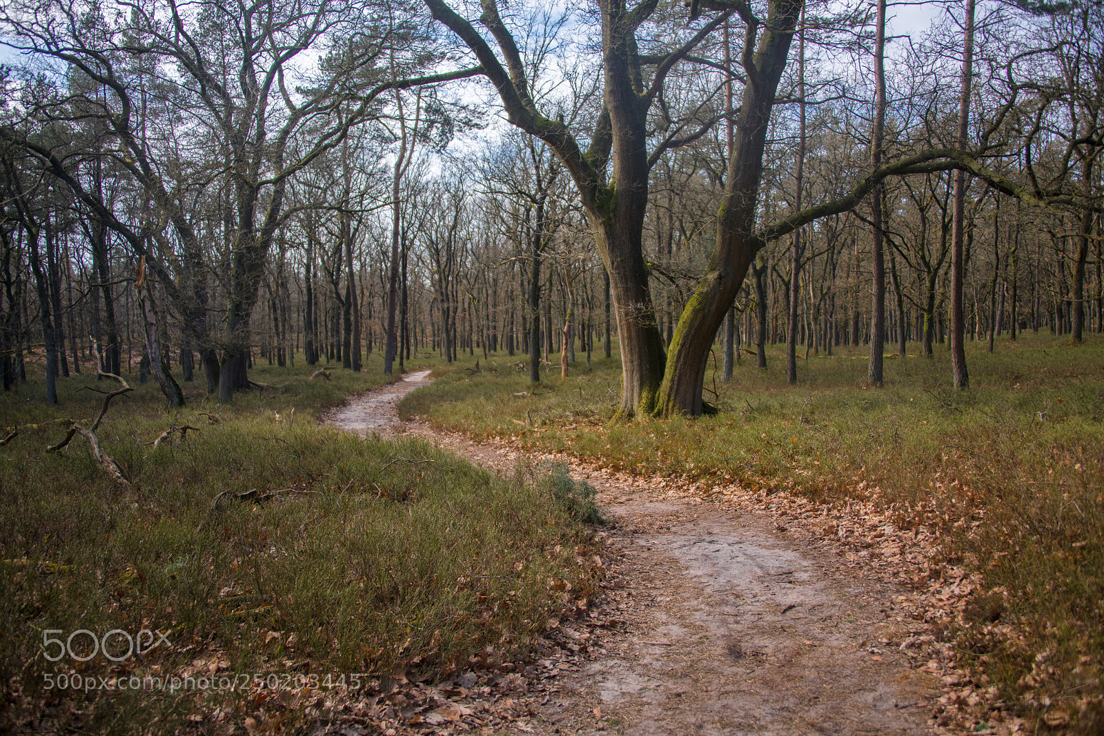 Nikon D850 sample photo. Gelderland road trip adventure photography