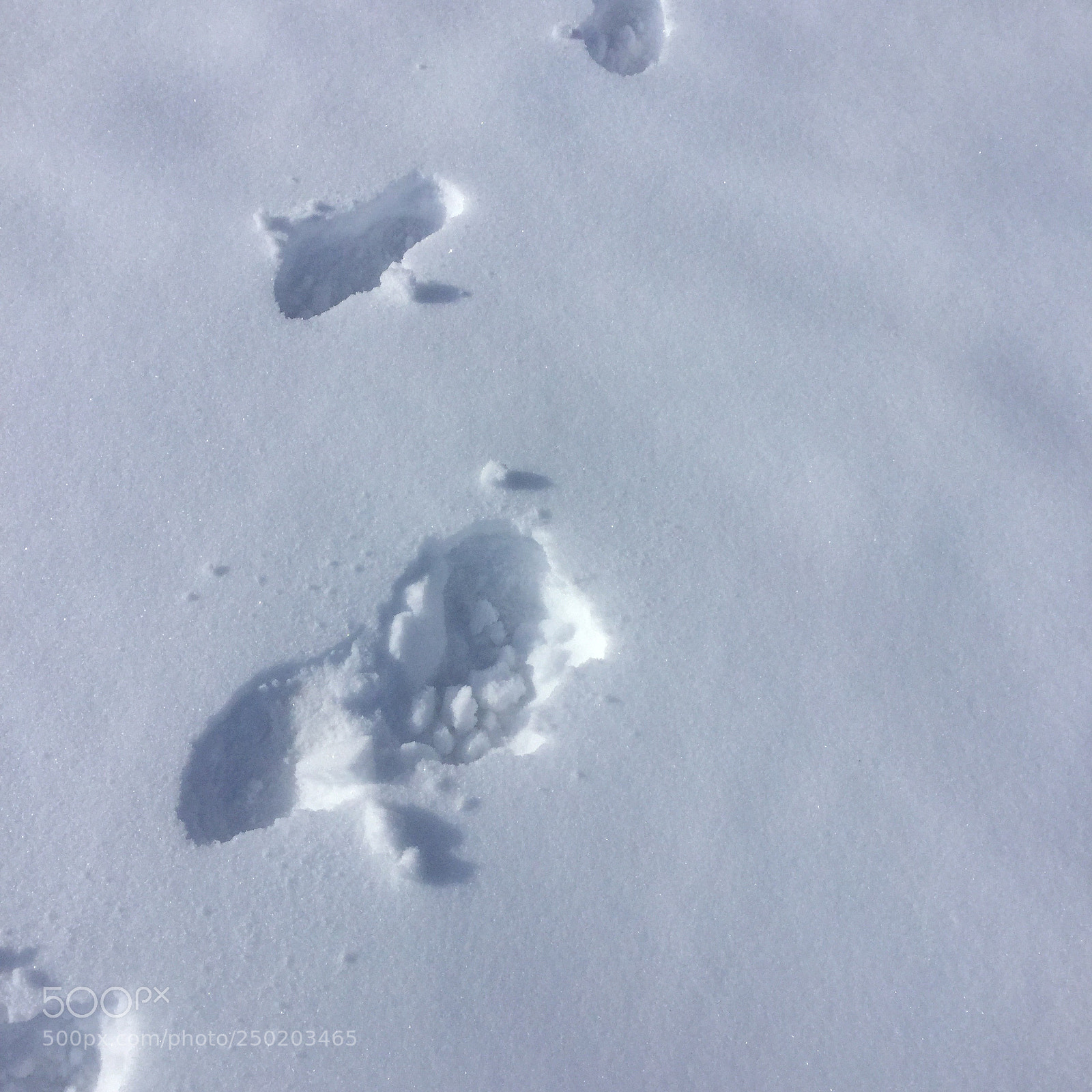 Apple iPod touch sample photo. Walking in the snow  photography