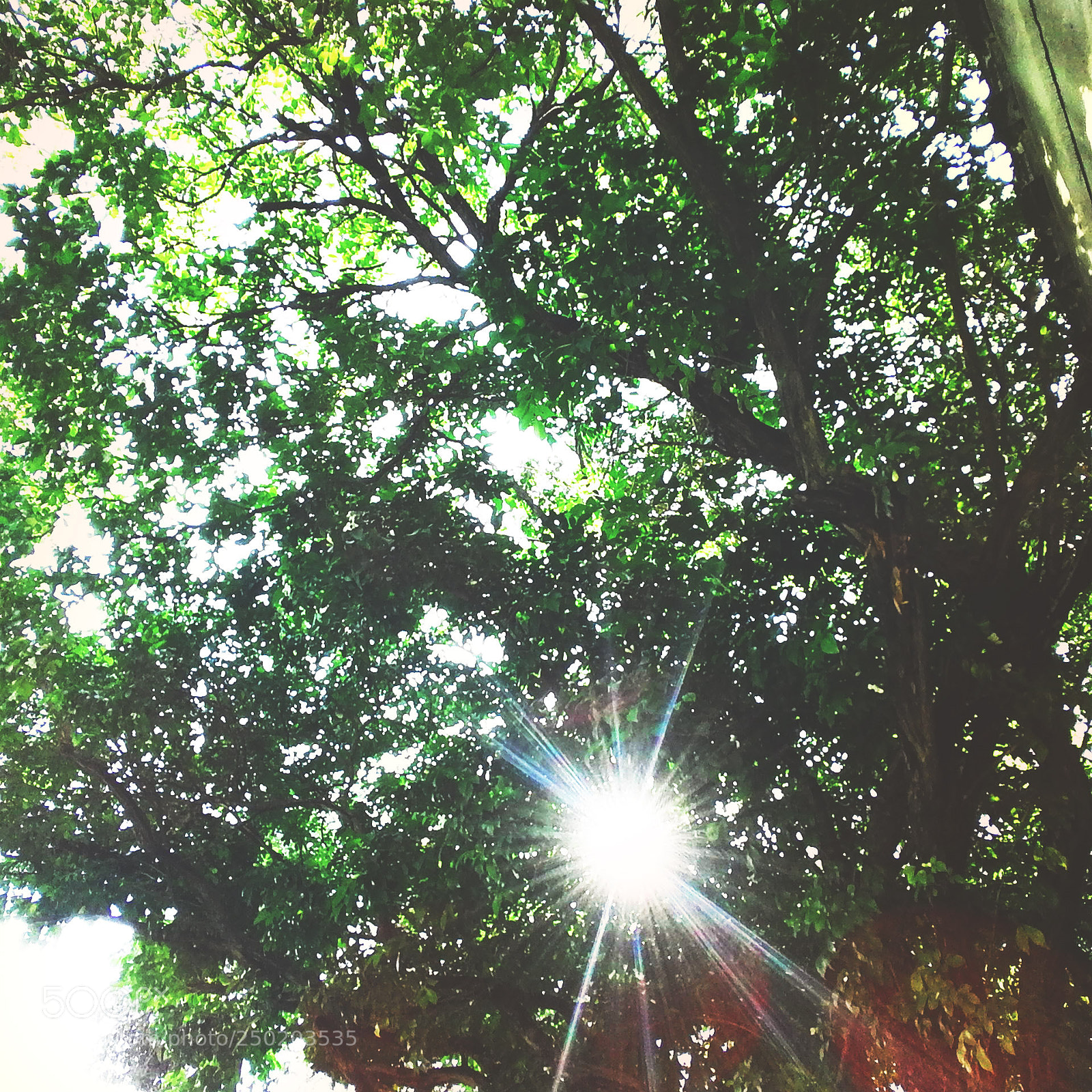 Fujifilm SQ10 sample photo. Untitled photography