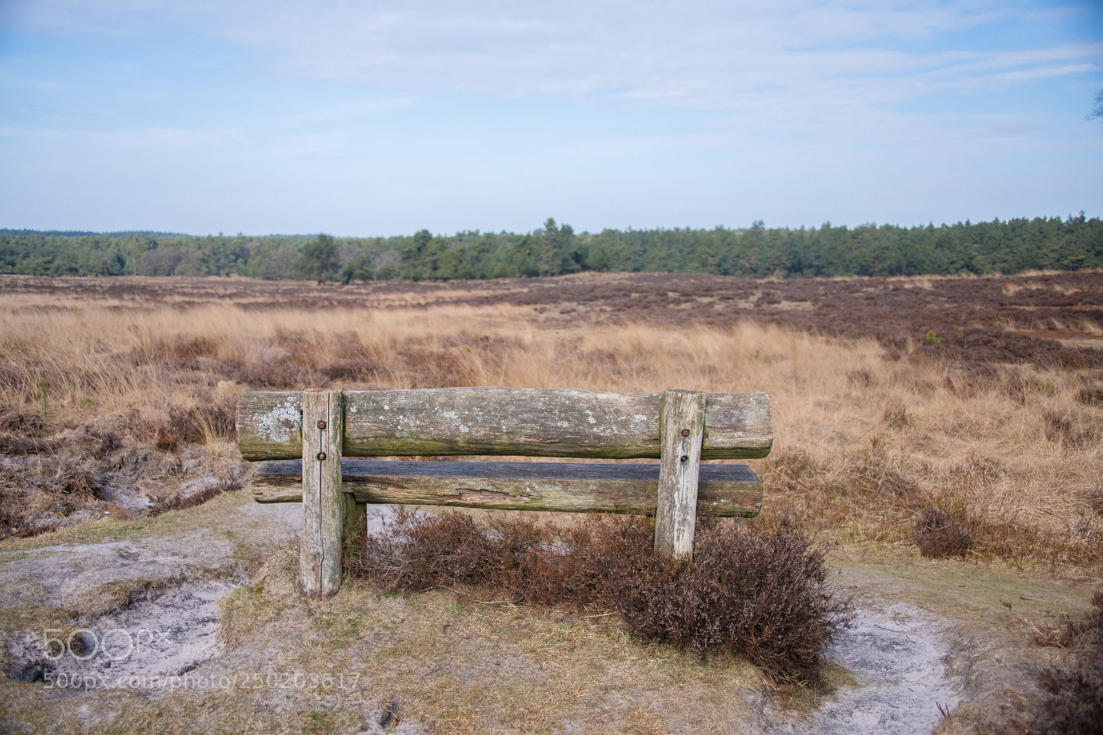 Nikon D850 sample photo. Gelderland road trip adventure photography
